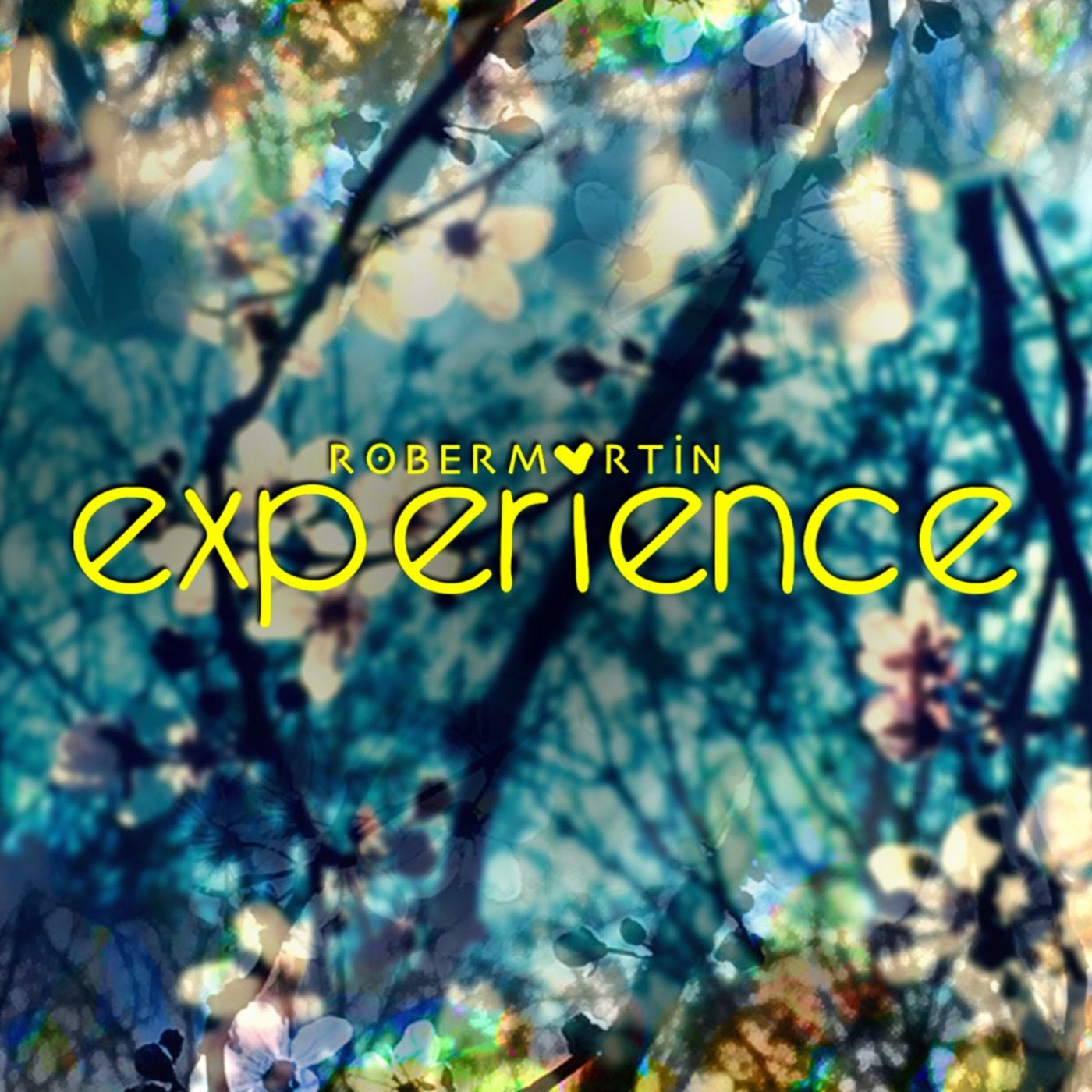 Experience