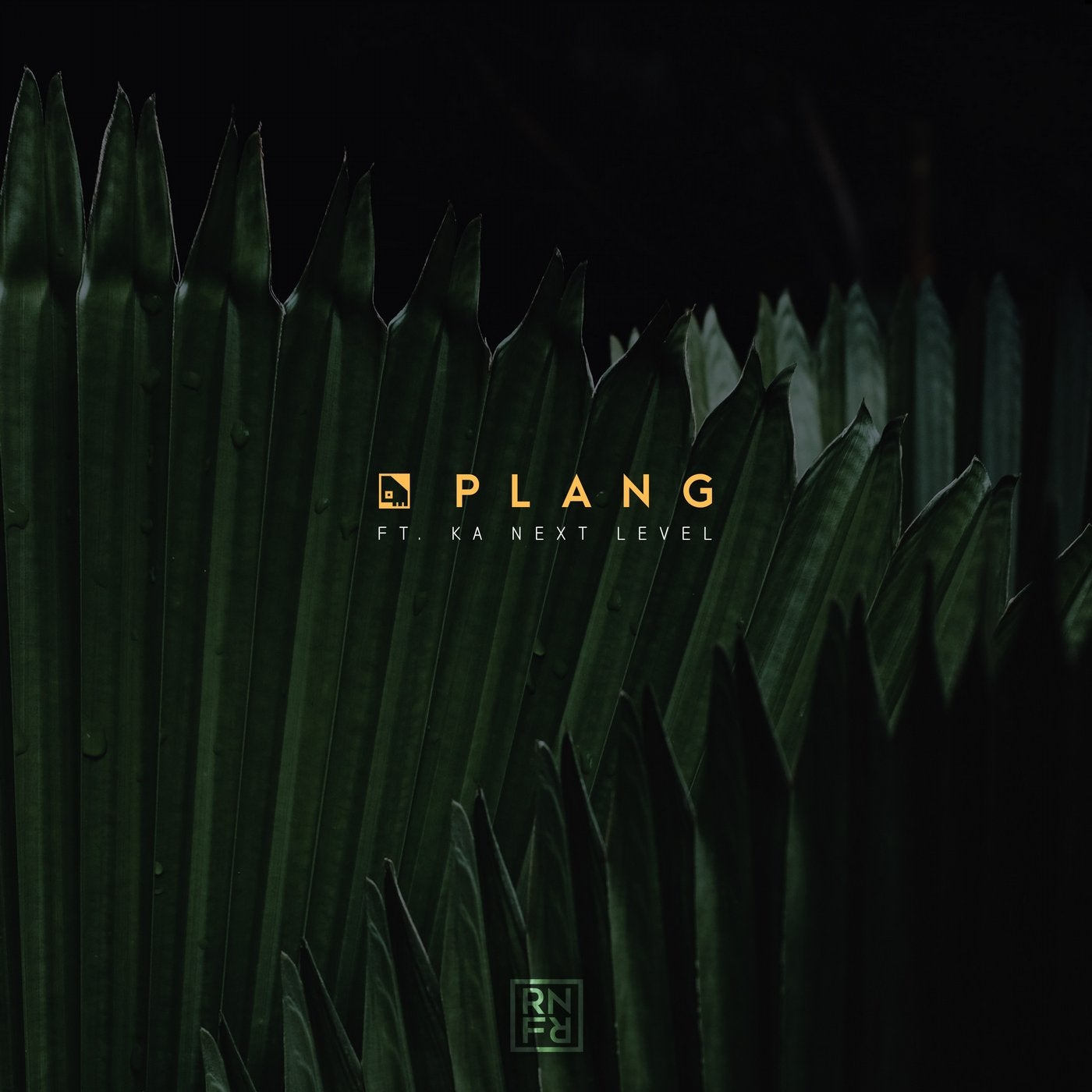 Plang