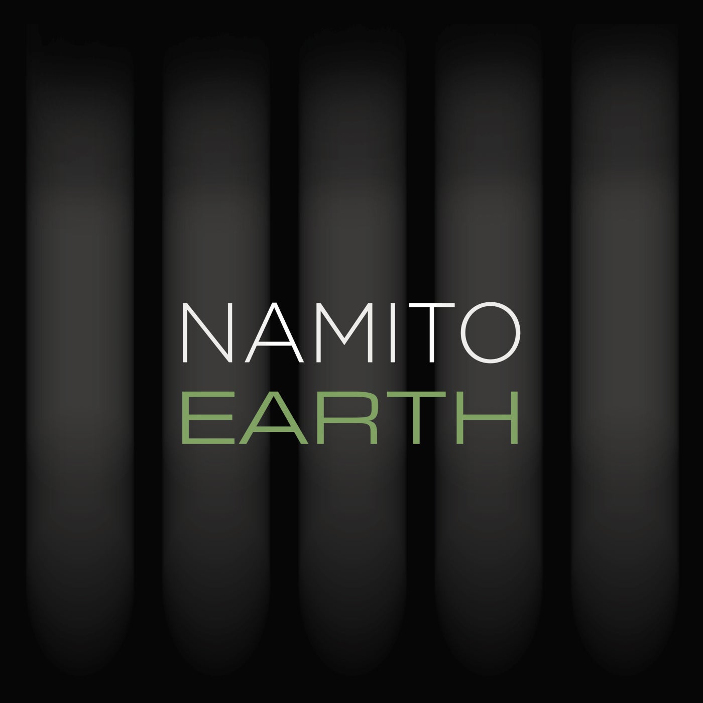 25 Years Nam - EARTH