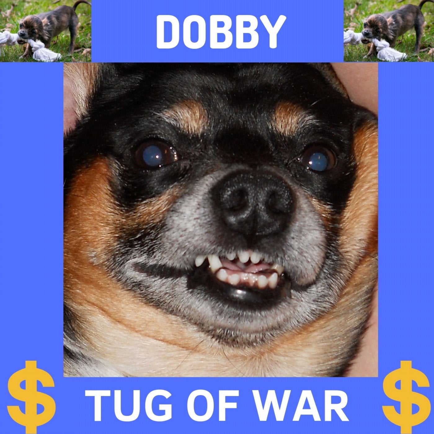 Dobby - Tug of War