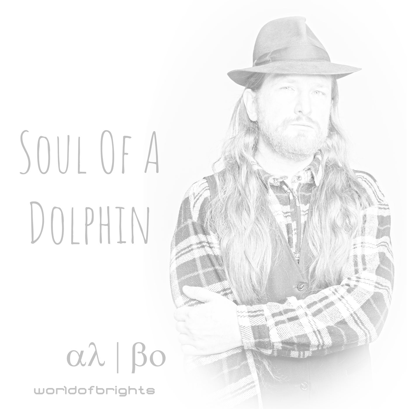 Soul Of A Dolphin