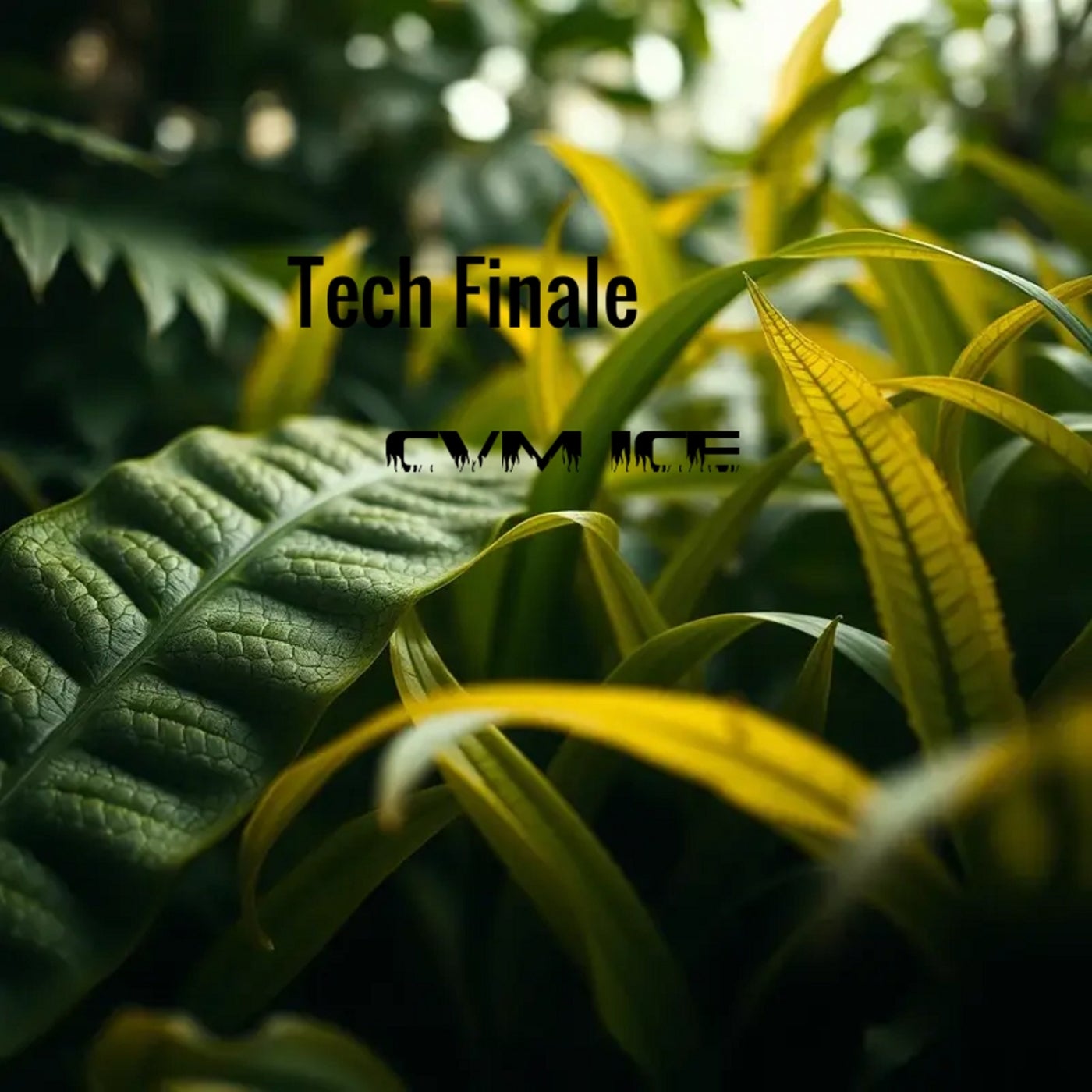 Tech Finale