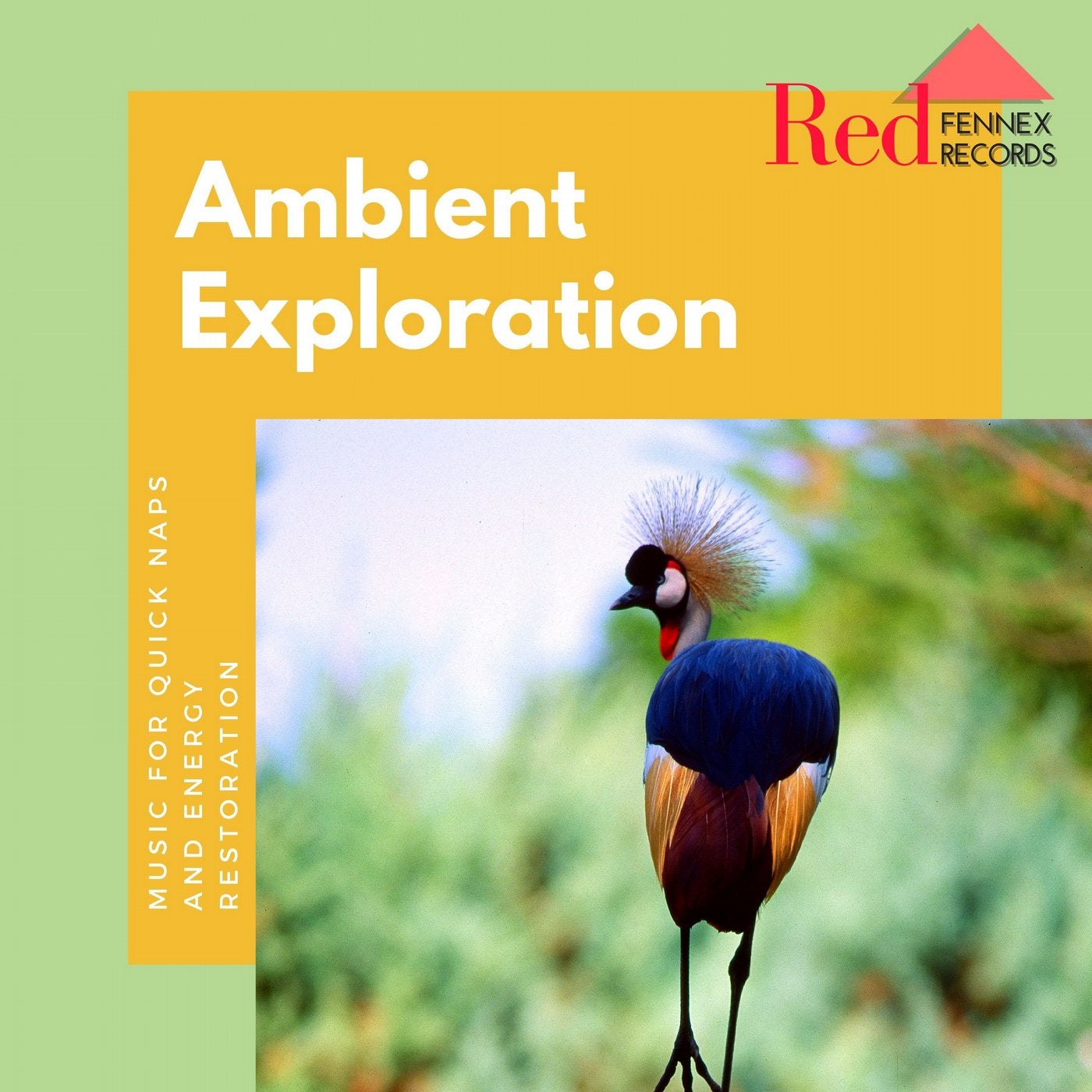 Ambient Exploration (Music For Quick Naps And Energy Restoration)