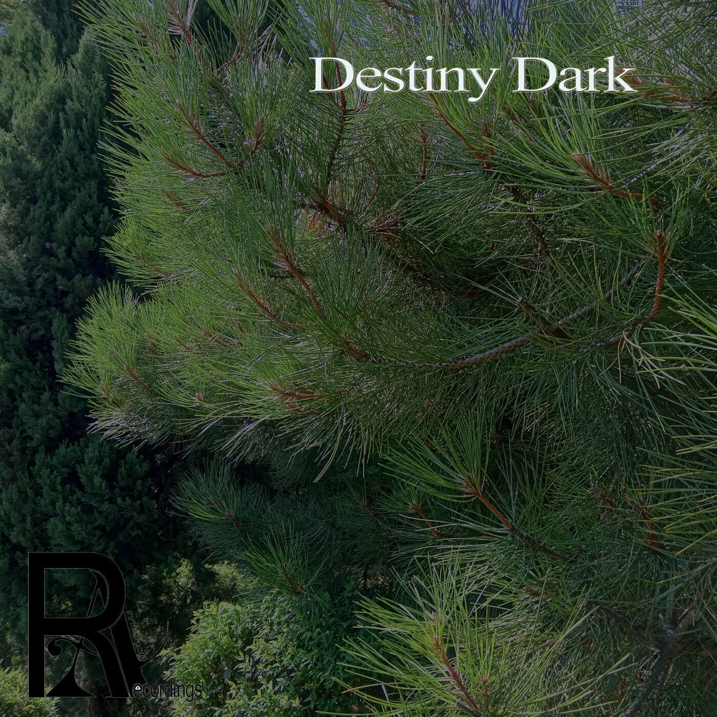 Destiny Dark