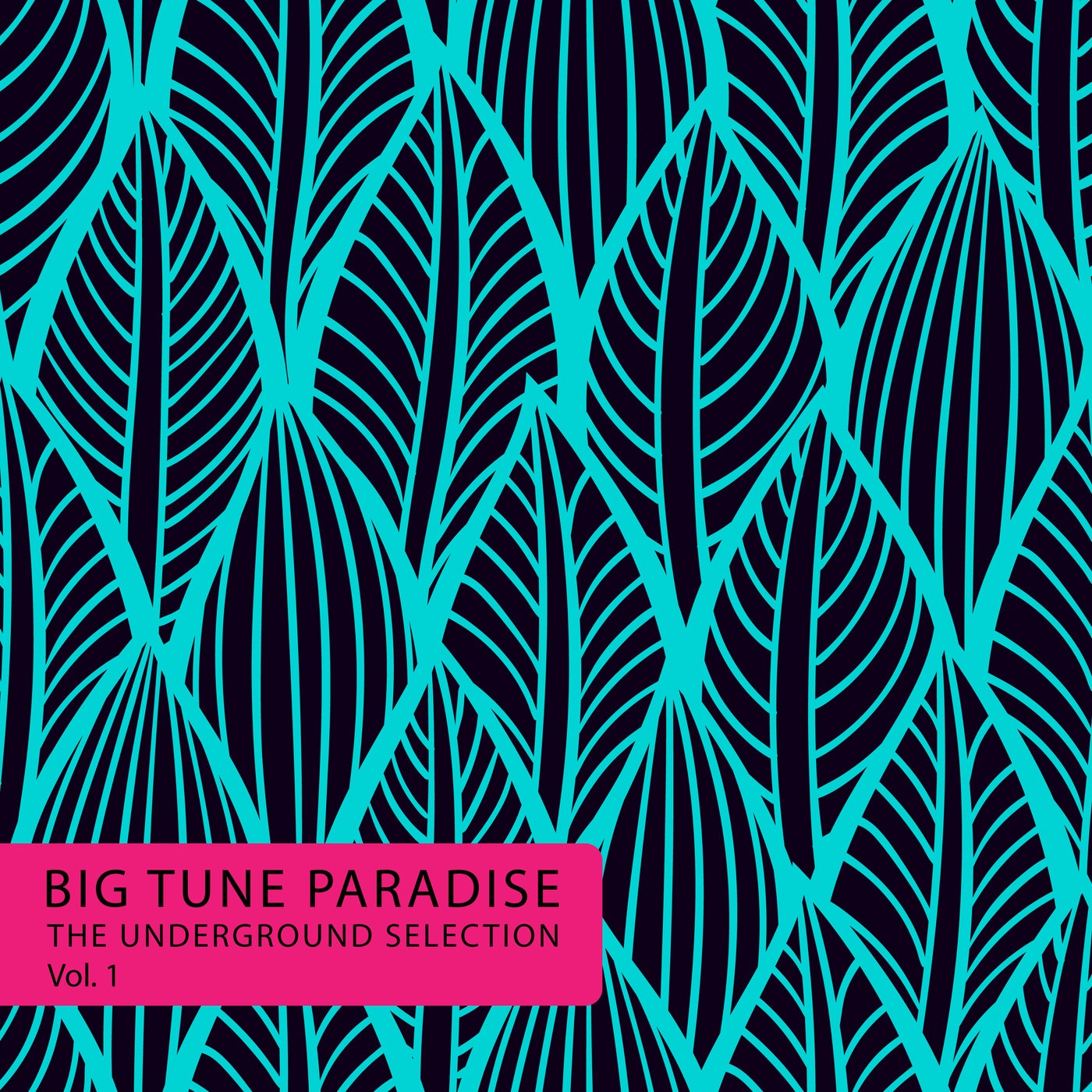 Big Tune Paradise - the Underground Selection, Vol. 1