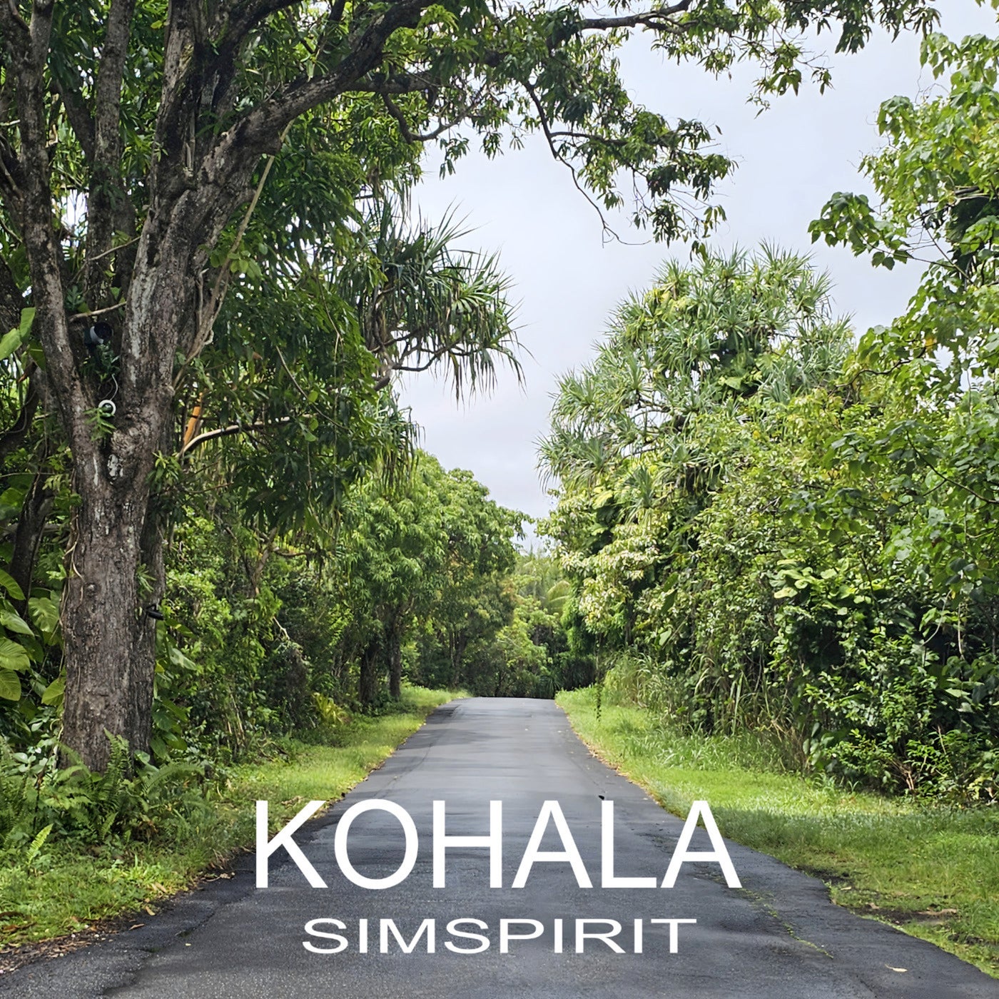 Kohala