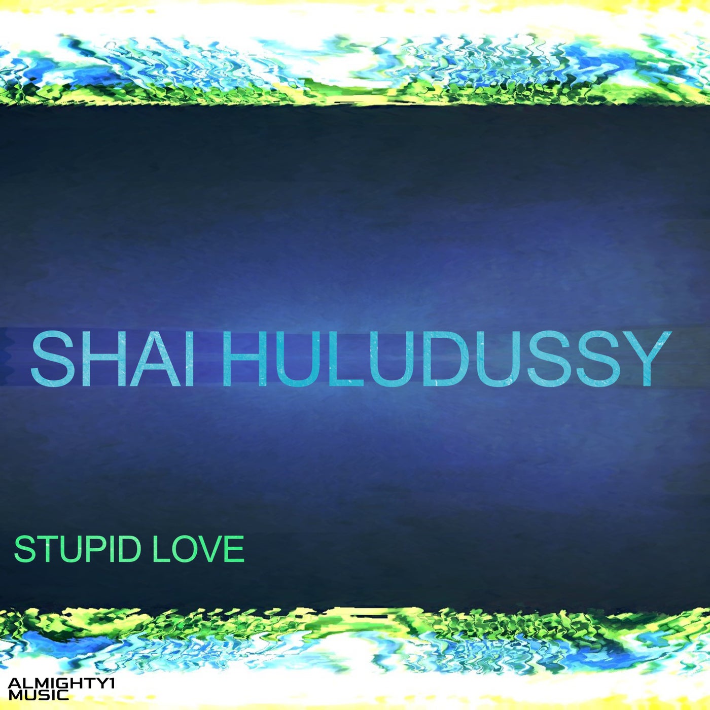 Stupid Love