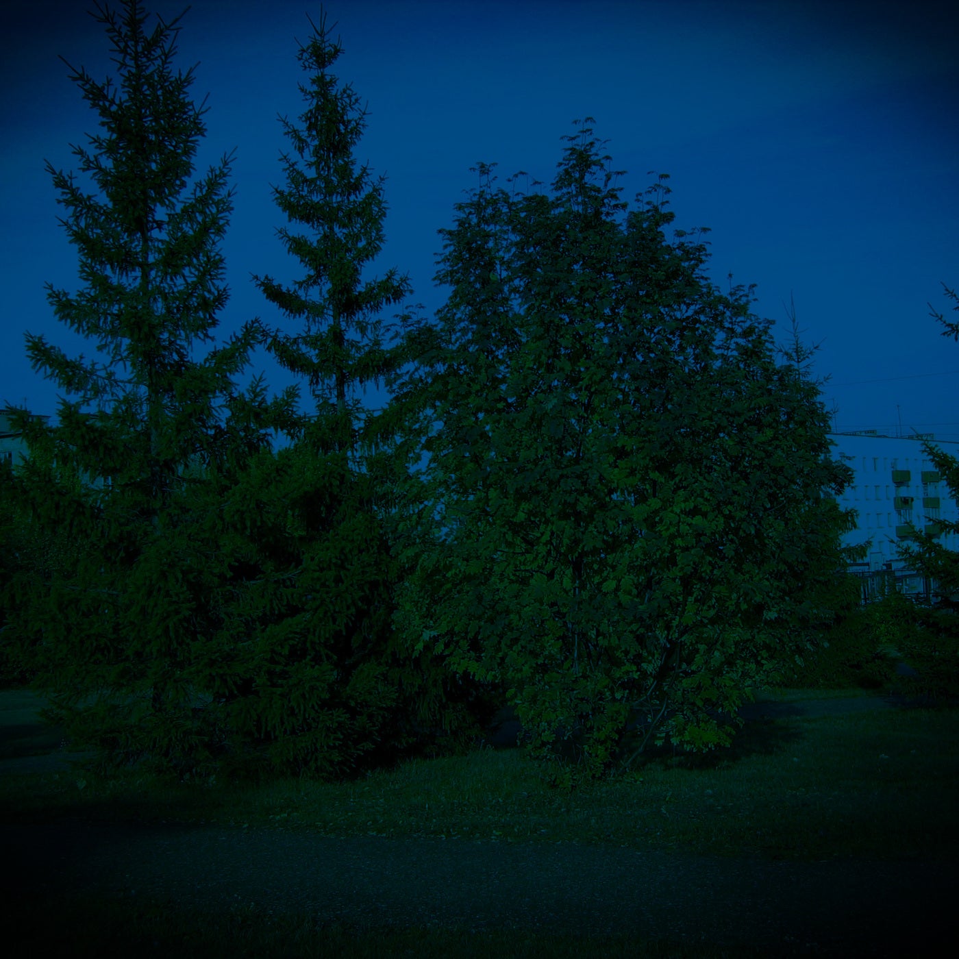 Melancholy
