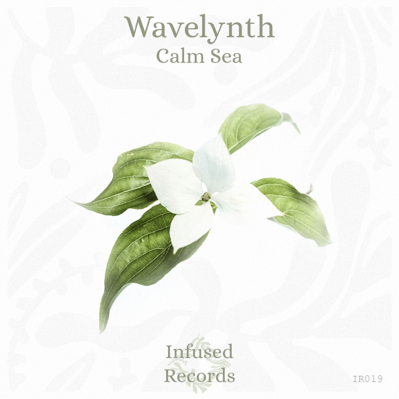 Calm Sea EP