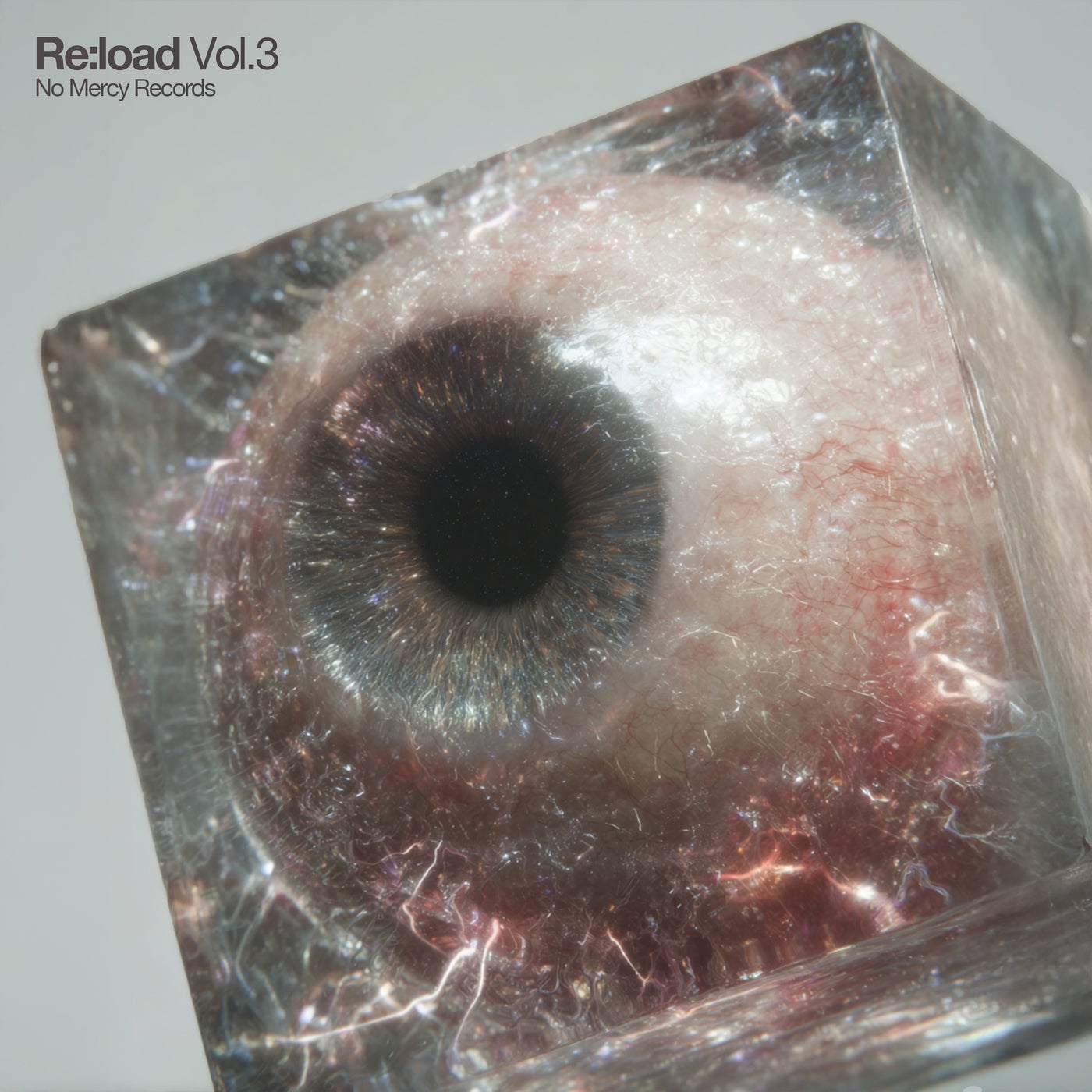VA – Re:load, Vol.3 NMRL3 FLAC VA – Re:load, Vol.3 NMRL3 FLAC