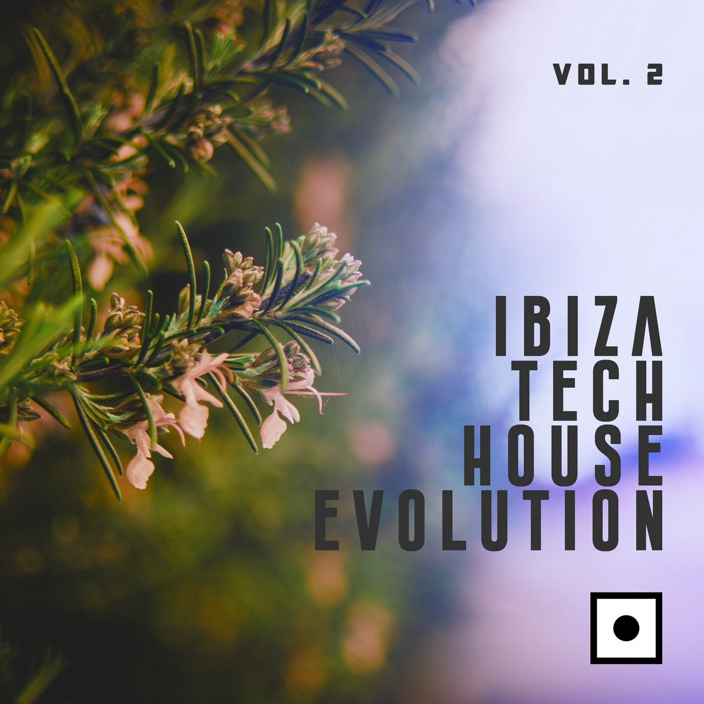Ibiza Tech House Evolution, Vol. 2