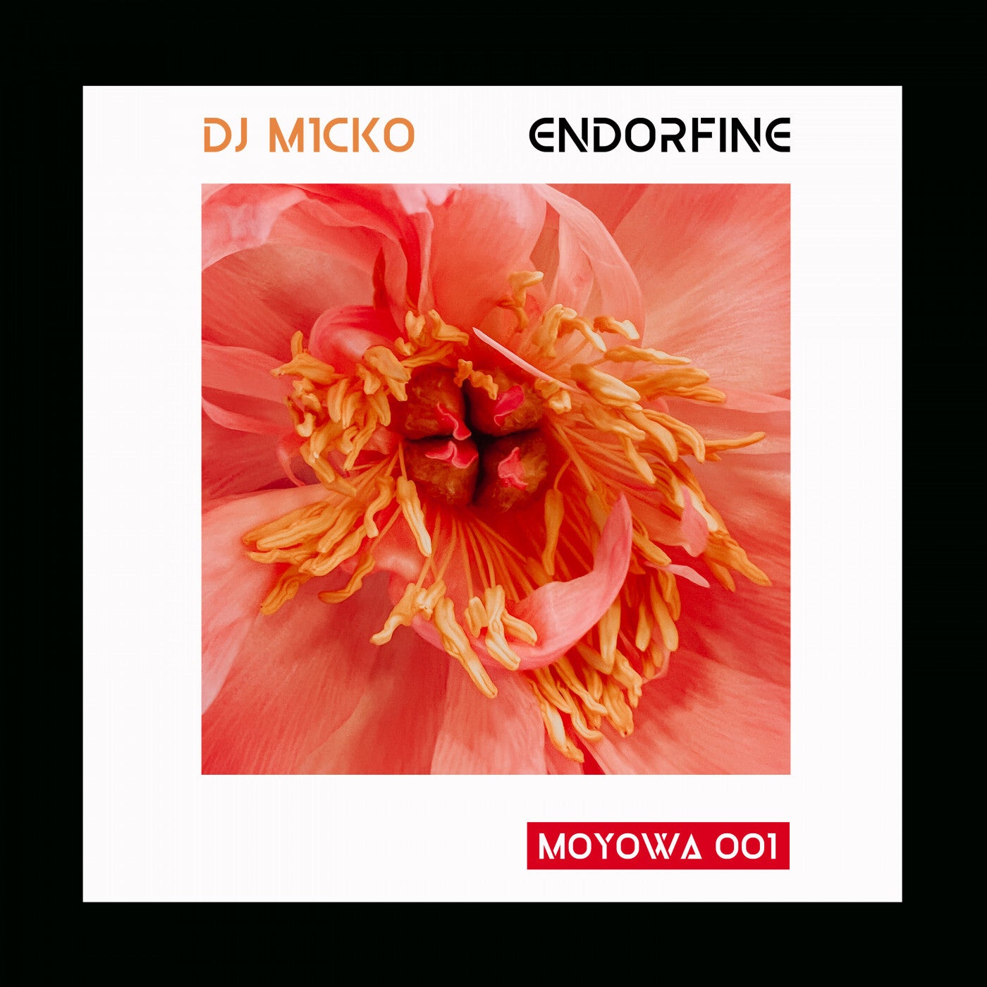 Endorfine