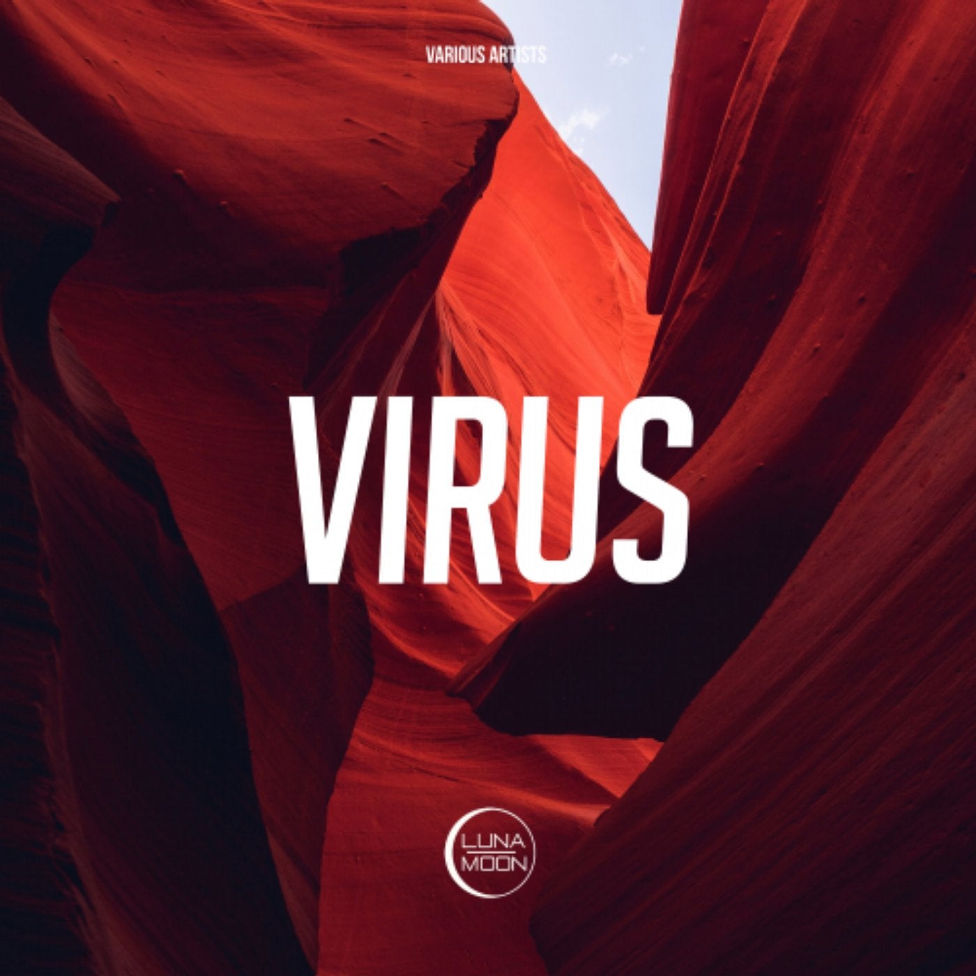 Virus