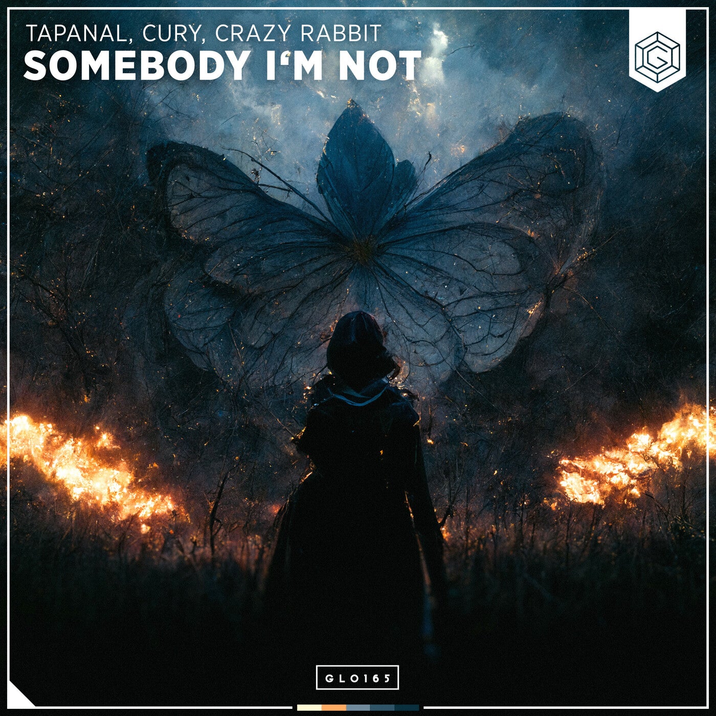 Somebody I'm Not