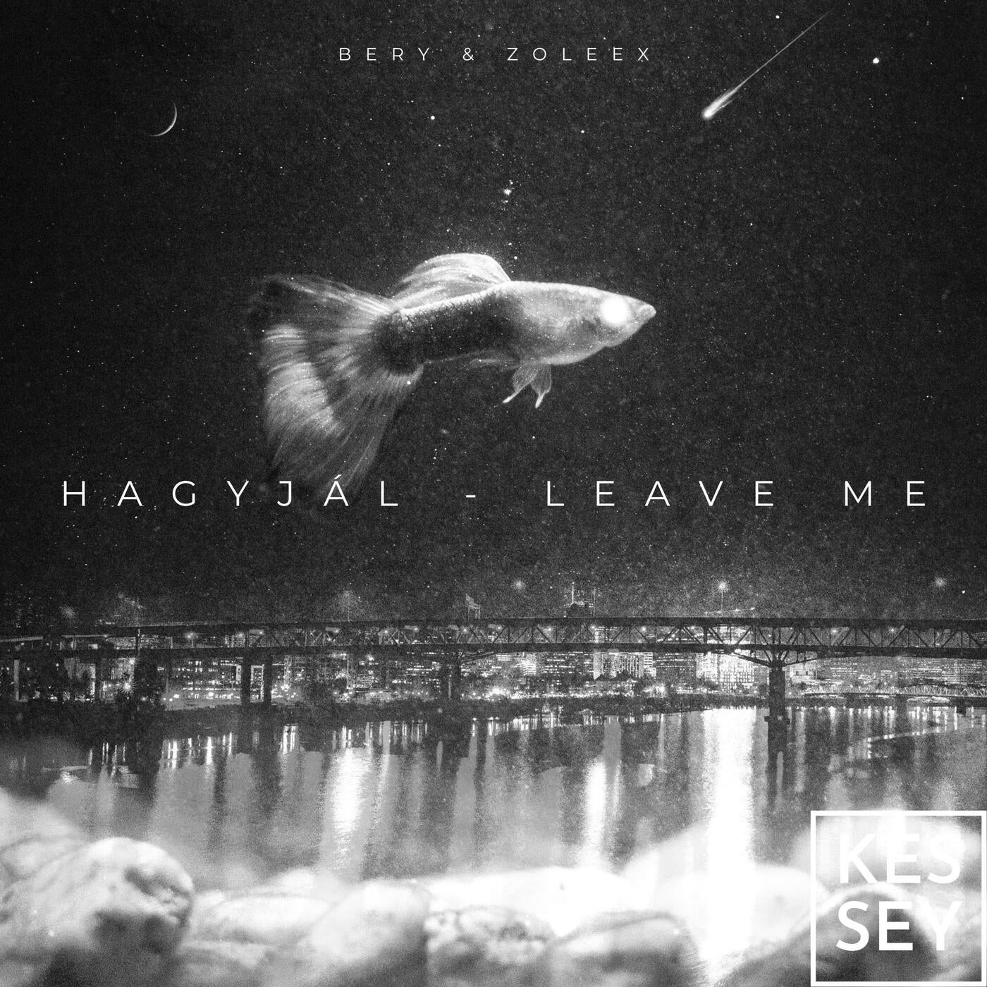 Hagyjál - Leave Me