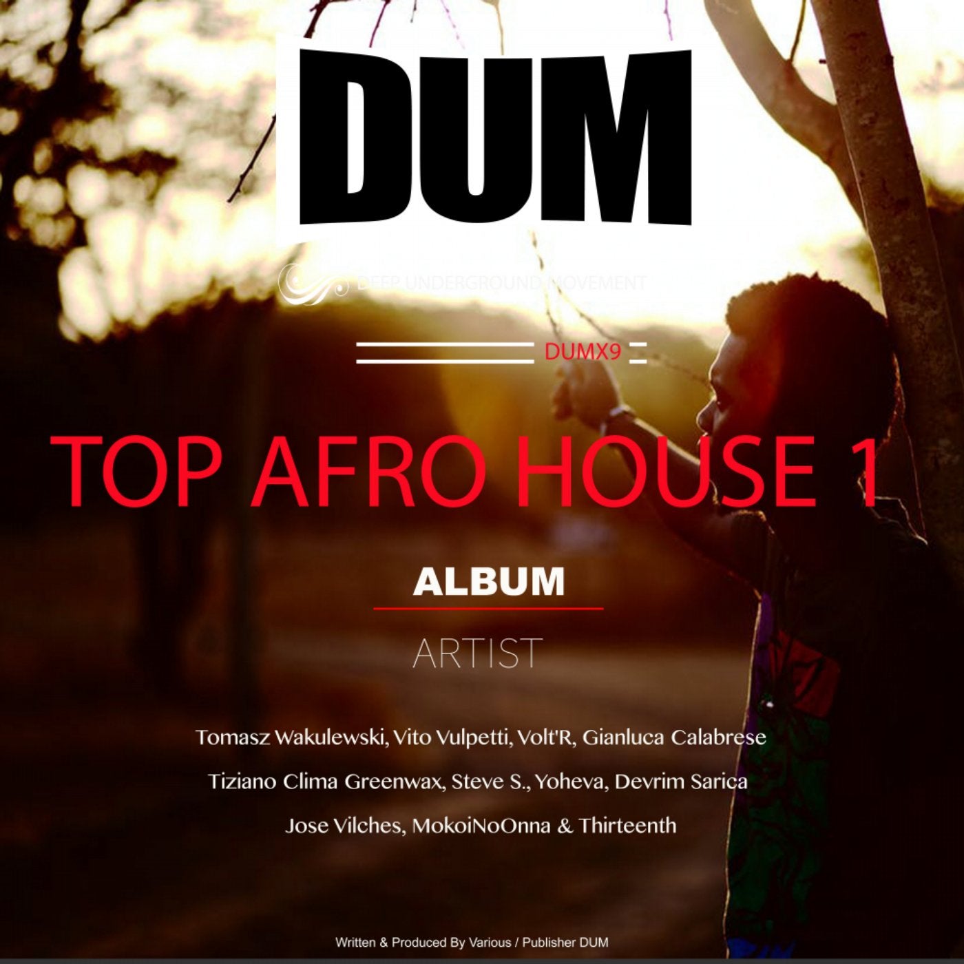 TOP AFRO HOUSE 1