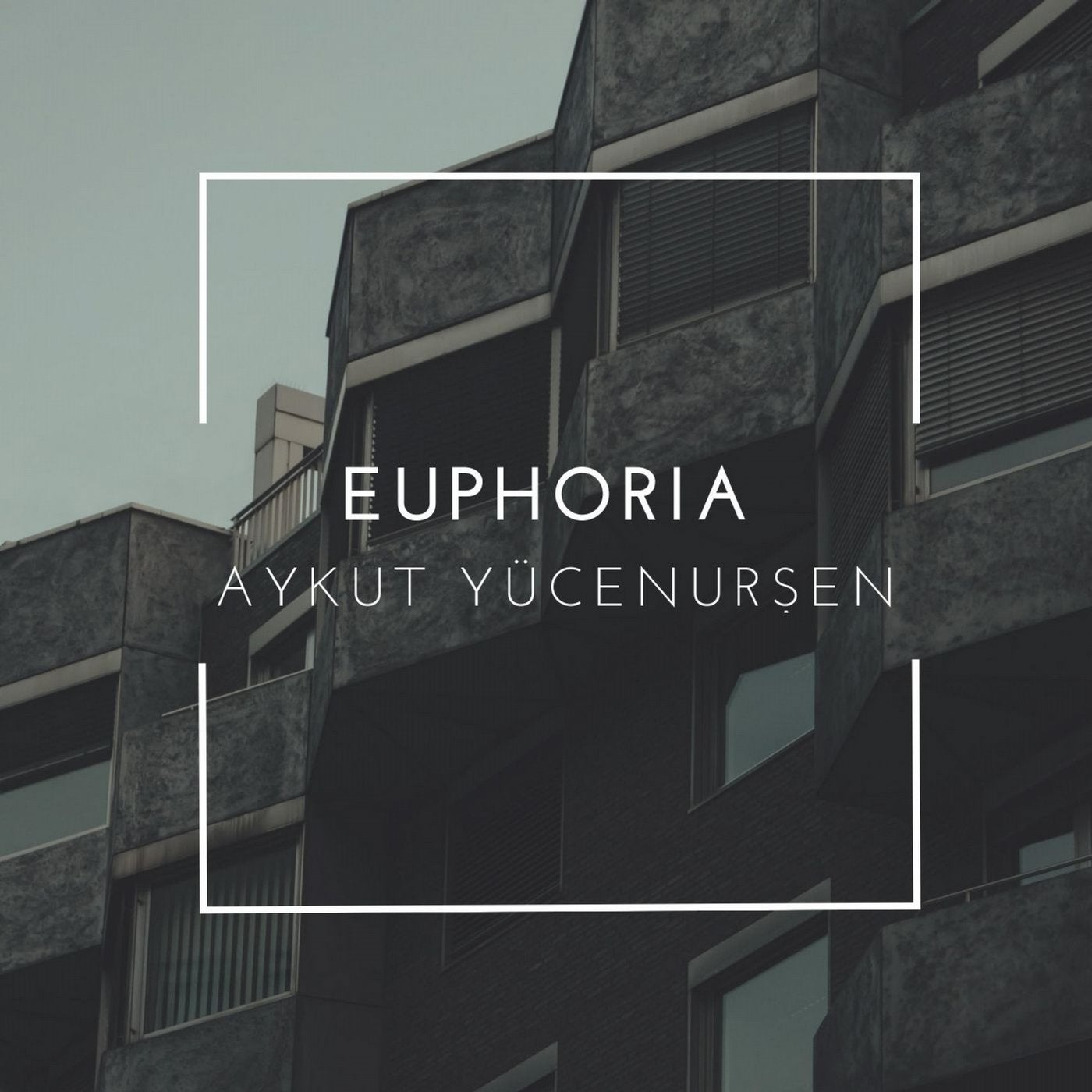 Euphoria