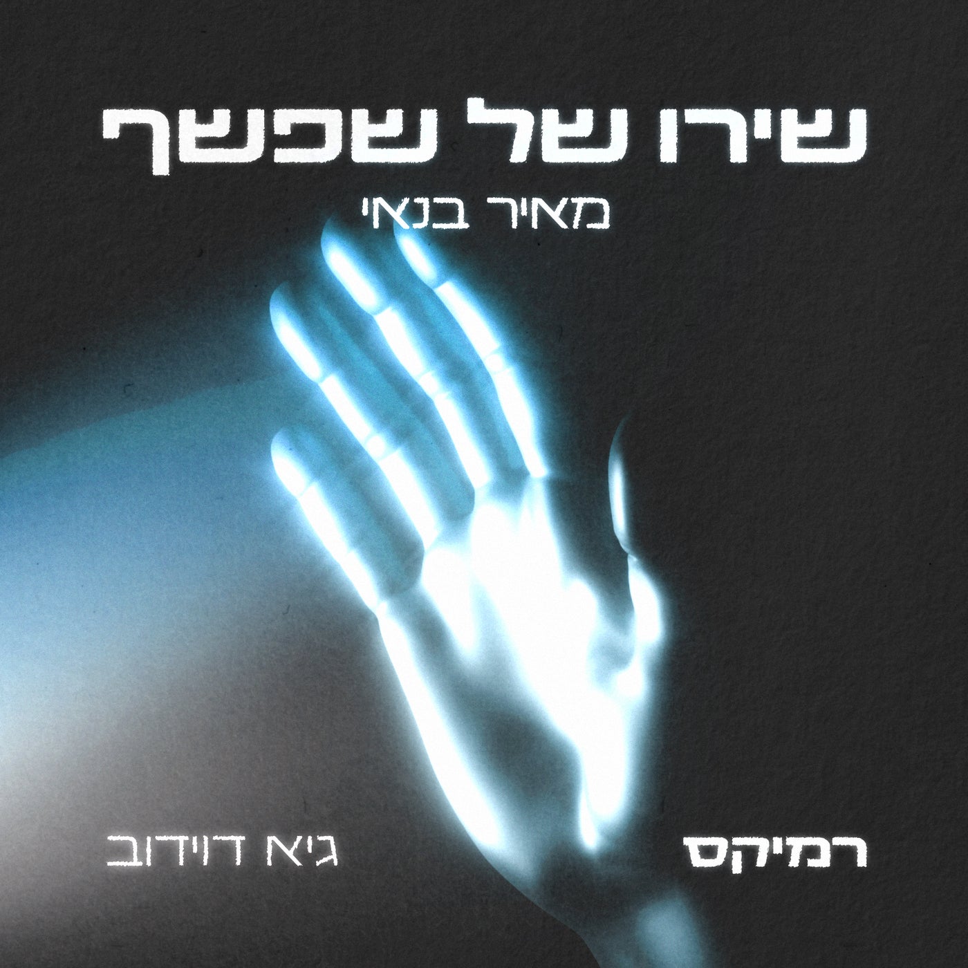 שירו של שפשף - Guy Davidov Remix