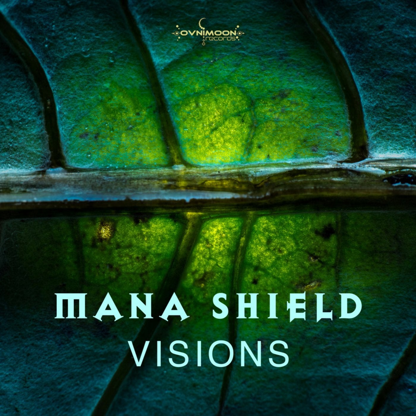 Visions. Mana Shield.