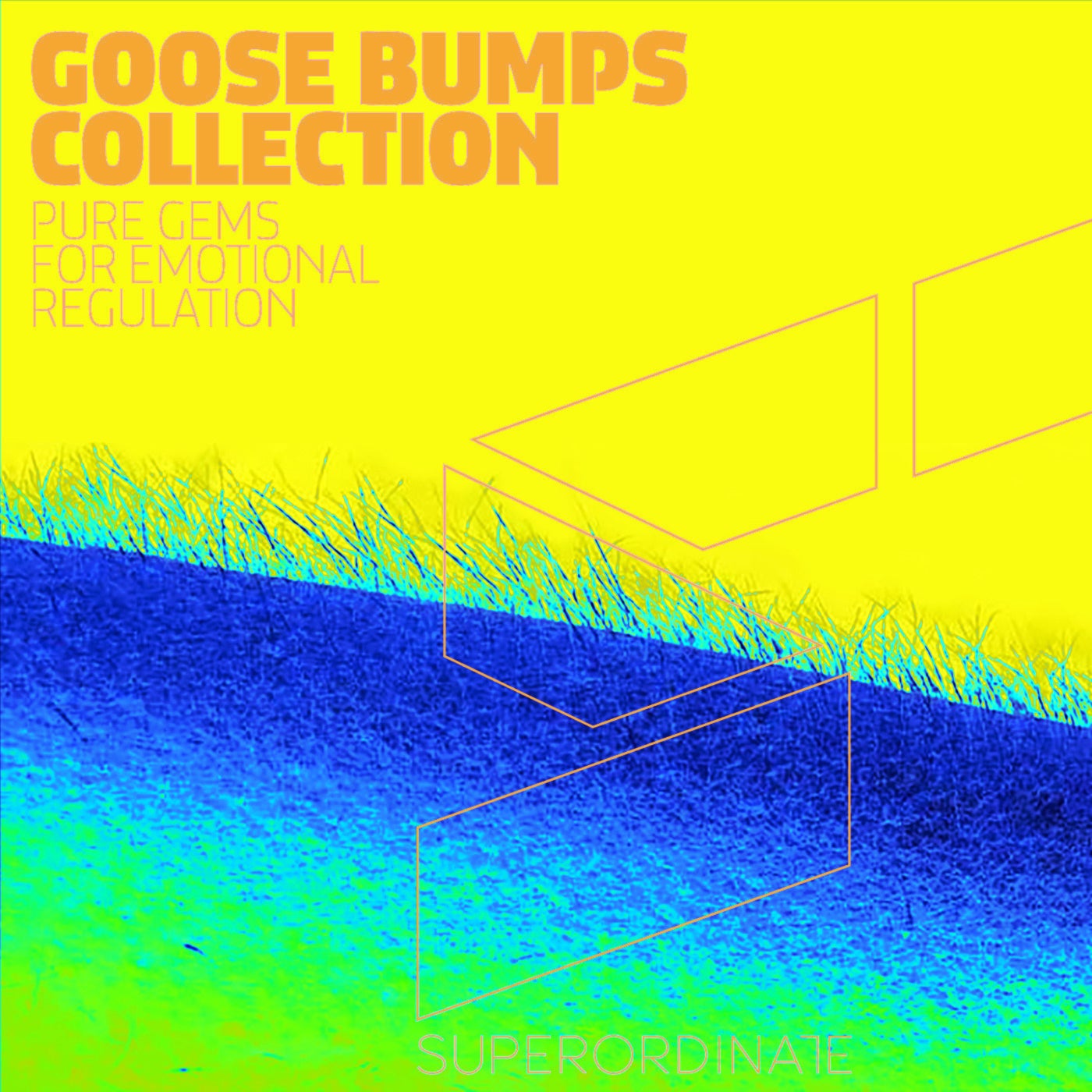 VA – Goose Bumps Collection, Vol. 12 SUPER638 VA – Goose Bumps Collection, Vol. 12 SUPER638