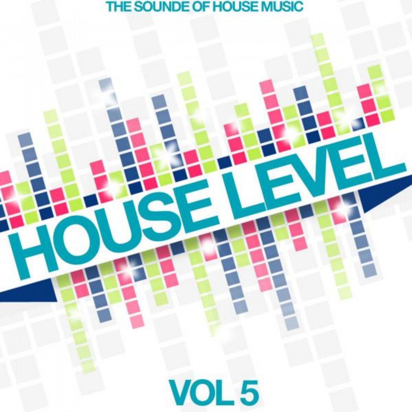 House Level, Vol. 5 (The Sound of House Music)