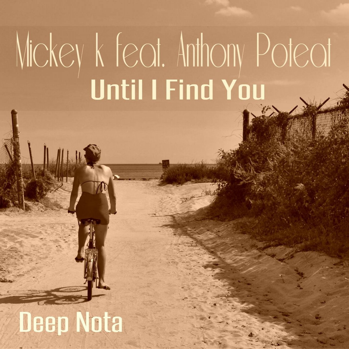 Until I Find You (feat. Anthony Poteat)