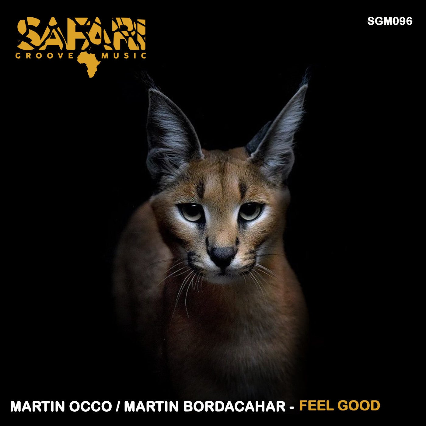 safari groove music