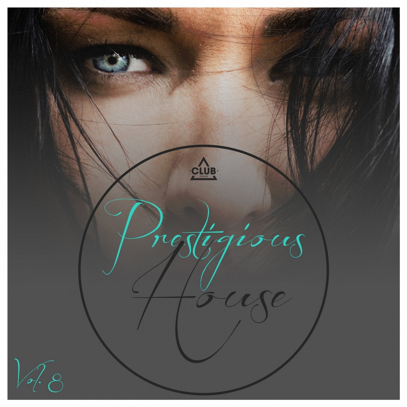 Prestigious House, Vol. 8