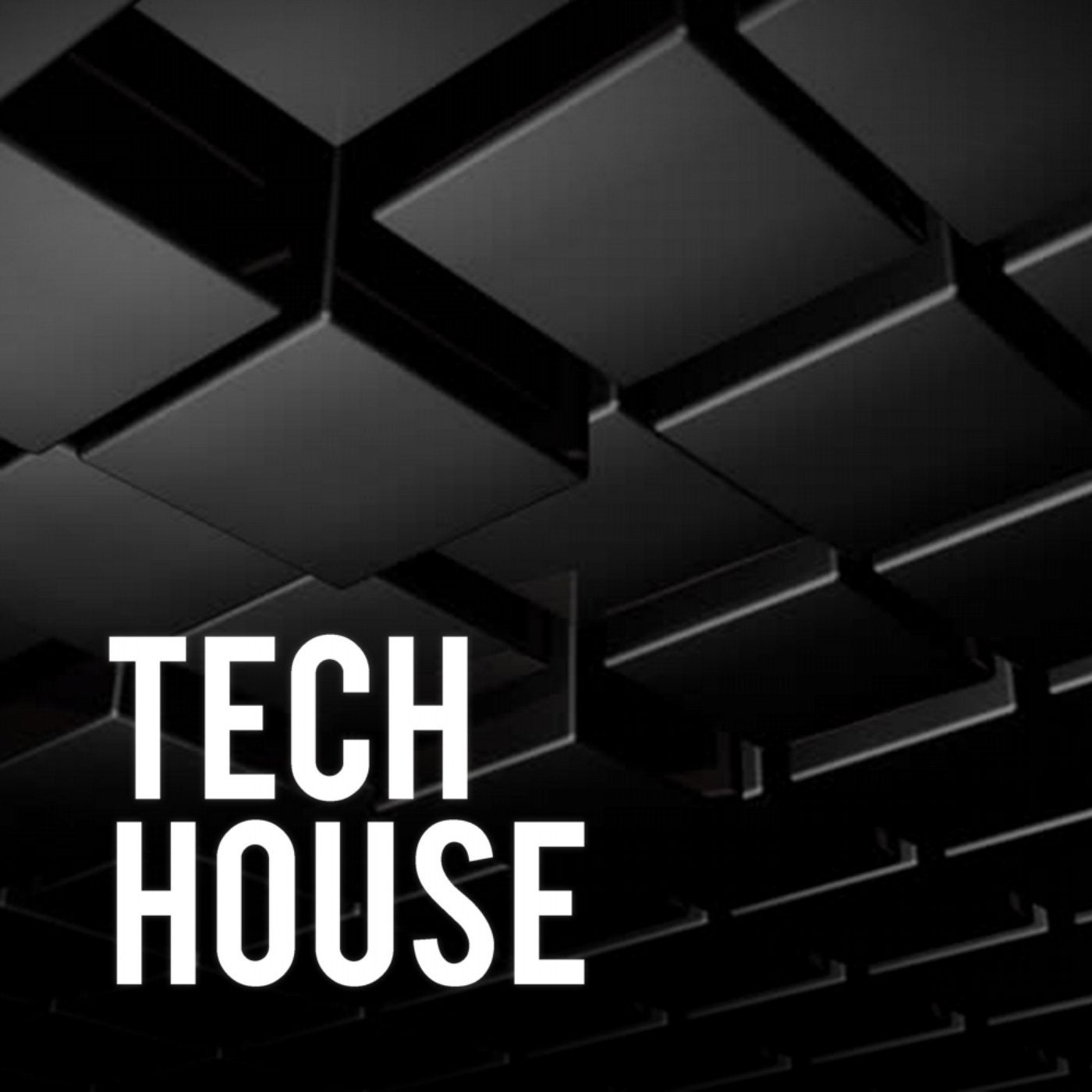Tech house фото. Tech house картинки. Обложка tech house. Tech house картинки. Tech house 2022.