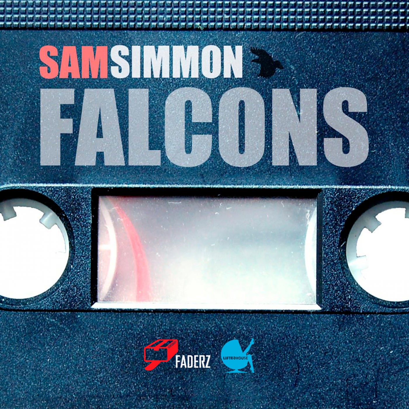 Falcons (Alonso Gonzalez Remix)