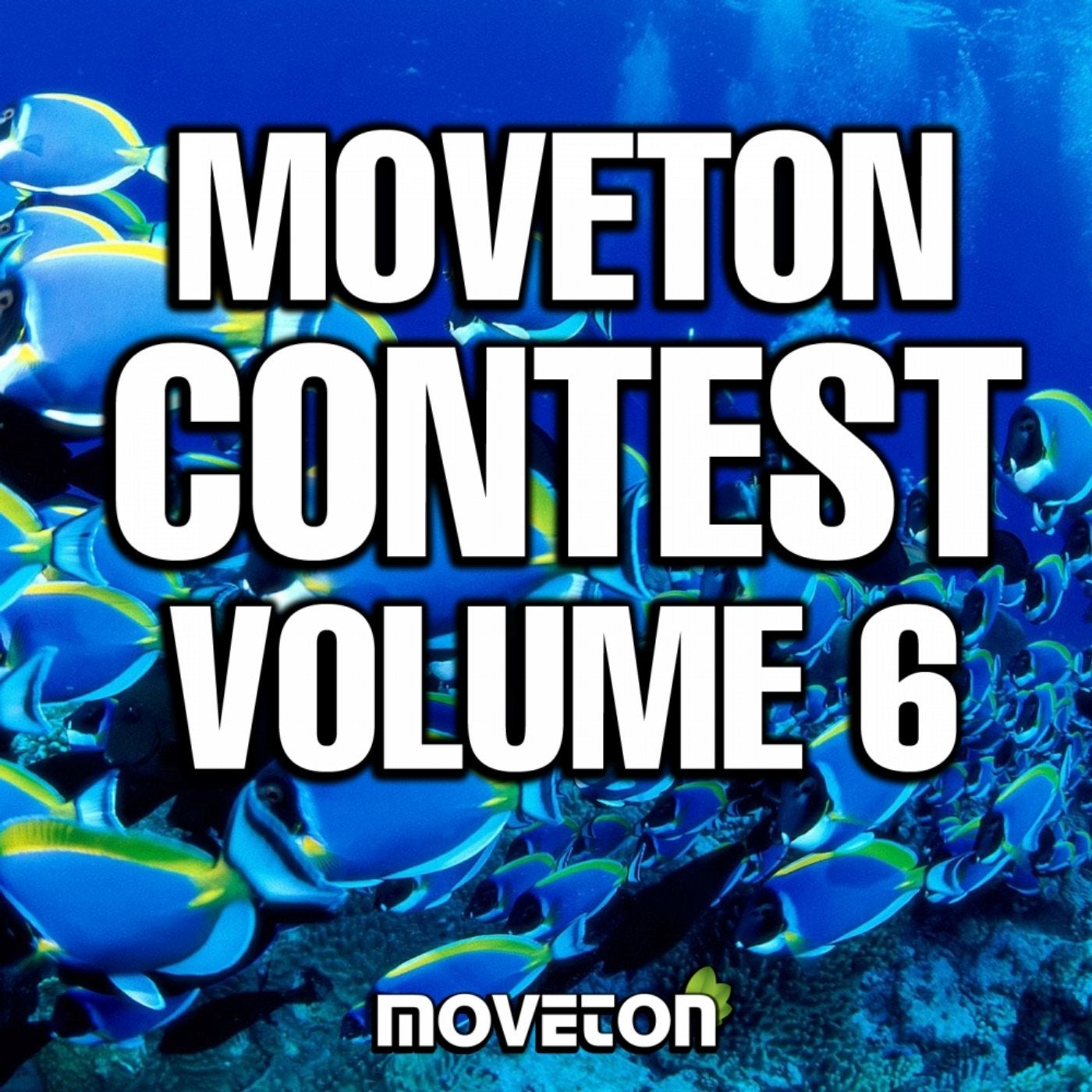 Moveton Contest, Vol. 6