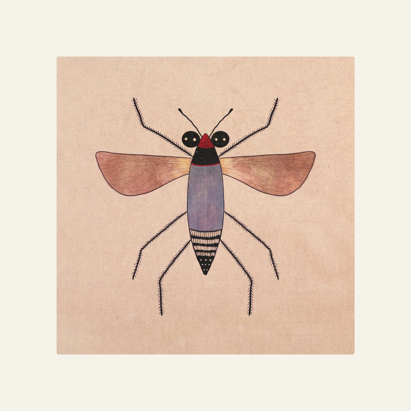 Marvin's Fly