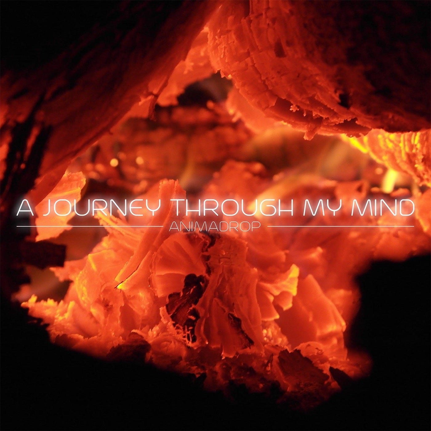 A journey through my mind
