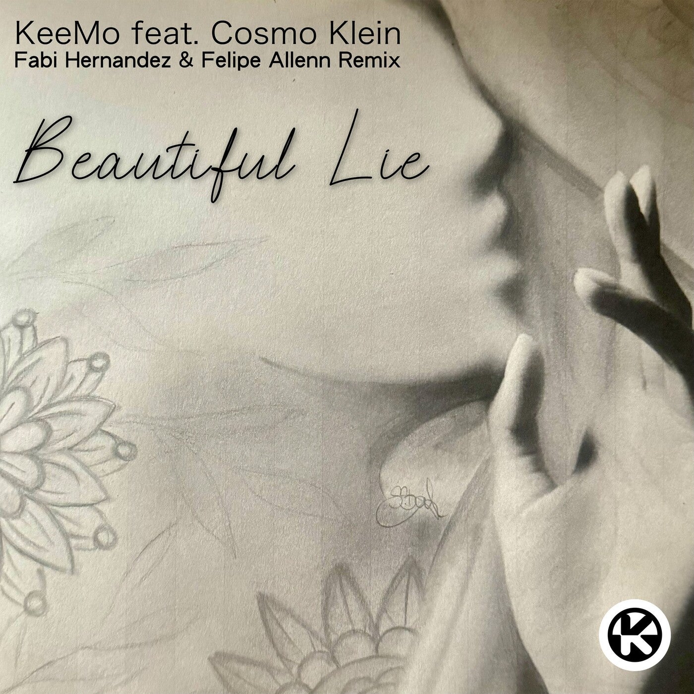 Beautiful Lie (Fabi Hernandez & Felipe Allenn Remix)