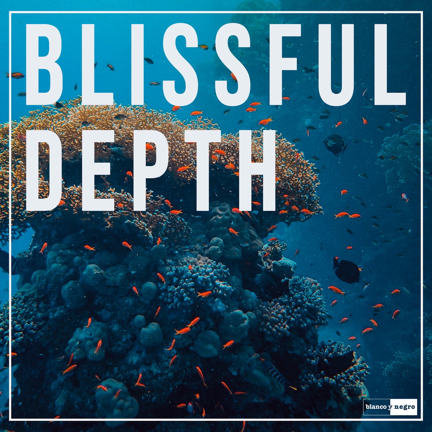 Blissful Depth