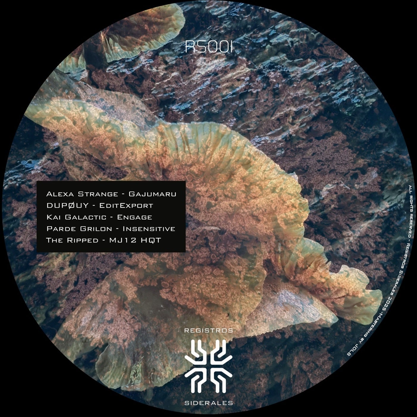 RS001 (Original Mix)