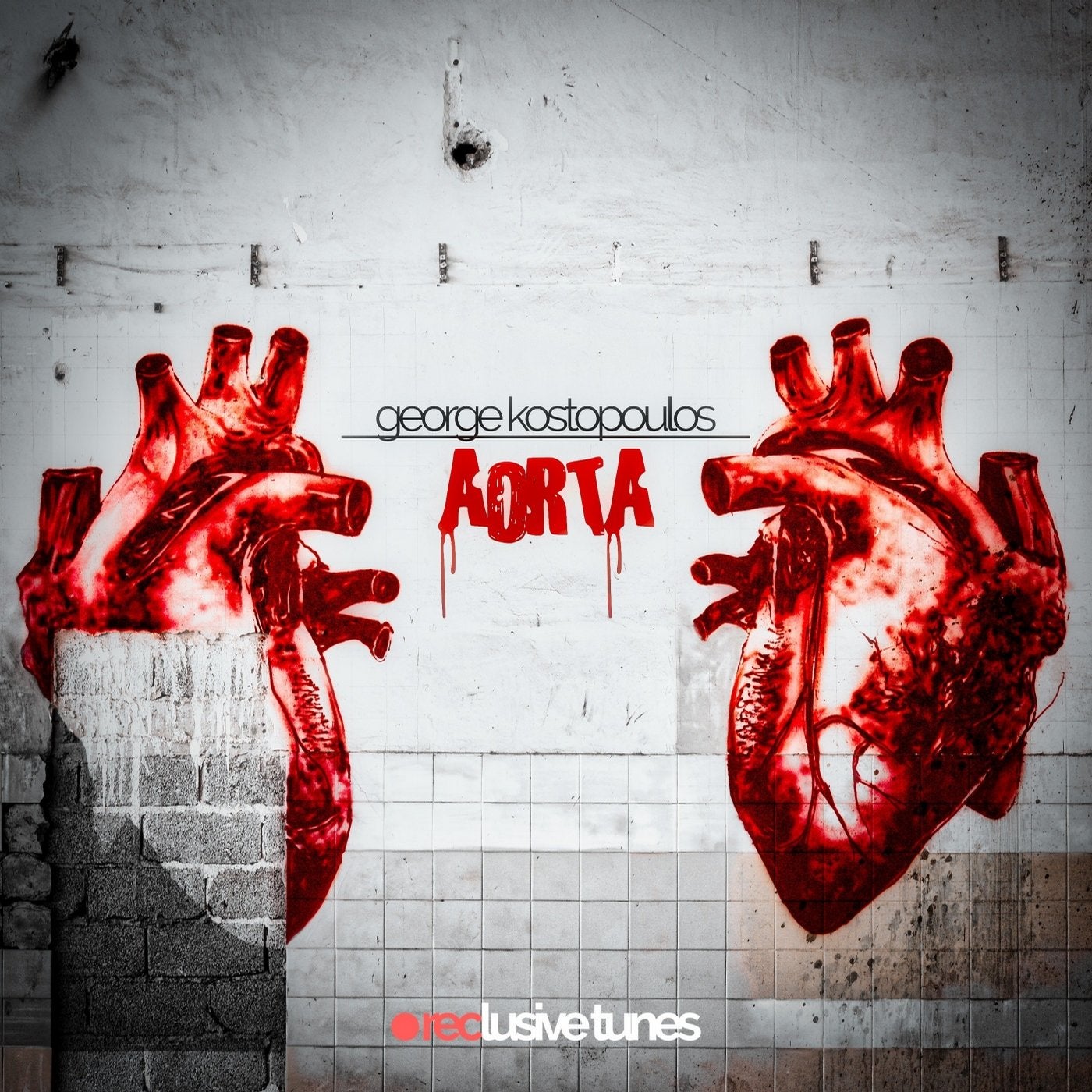 Aorta