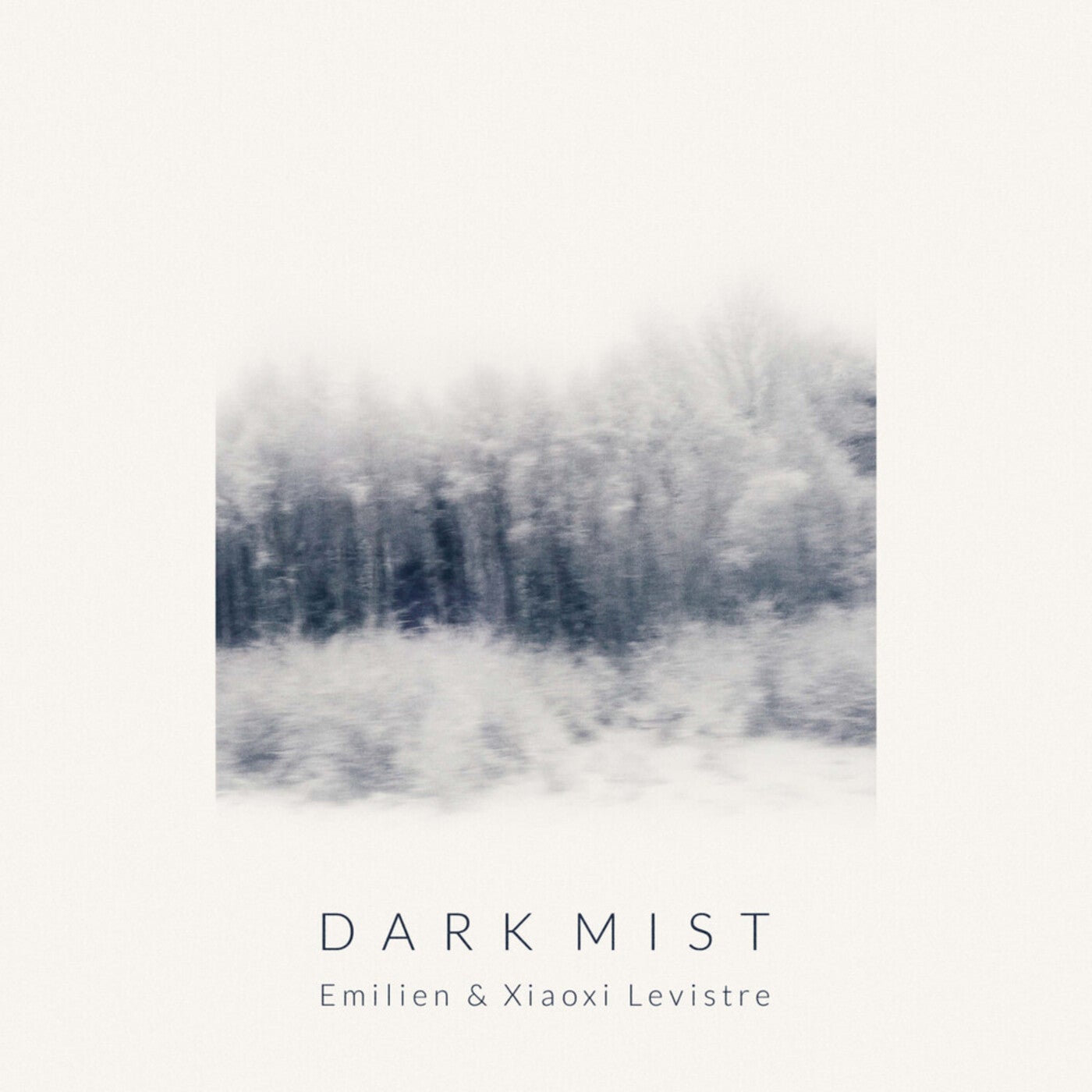 Cover art for Dark Mist