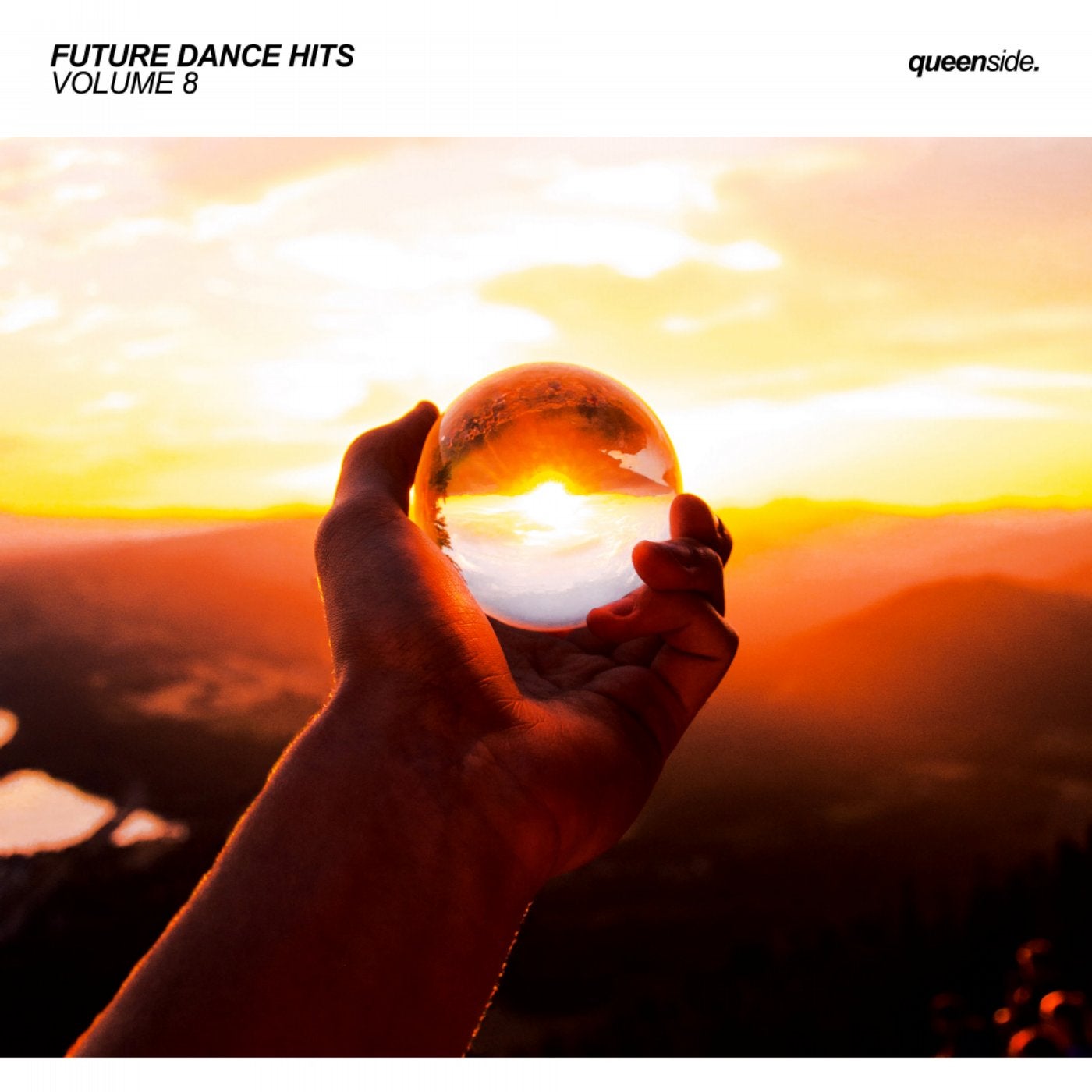Future Dance Hits, Vol.8