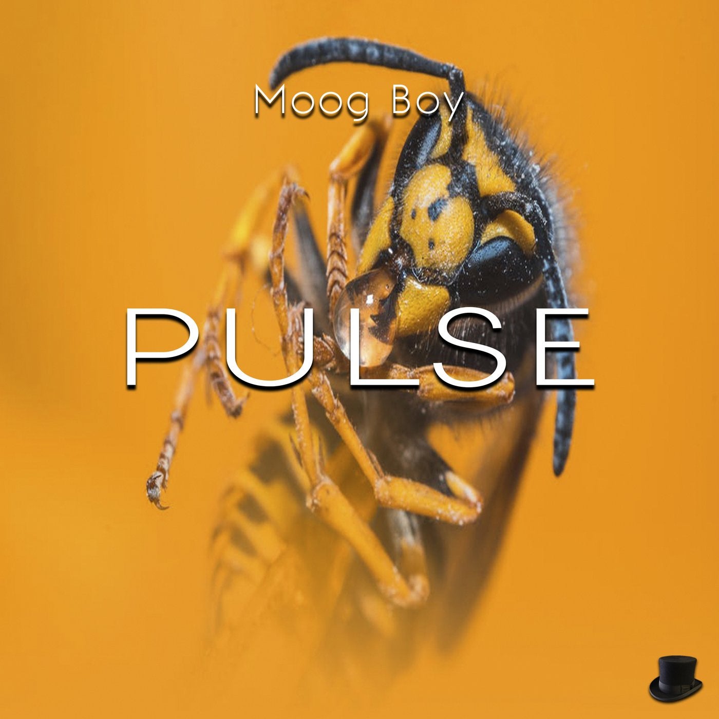 Pulse EP
