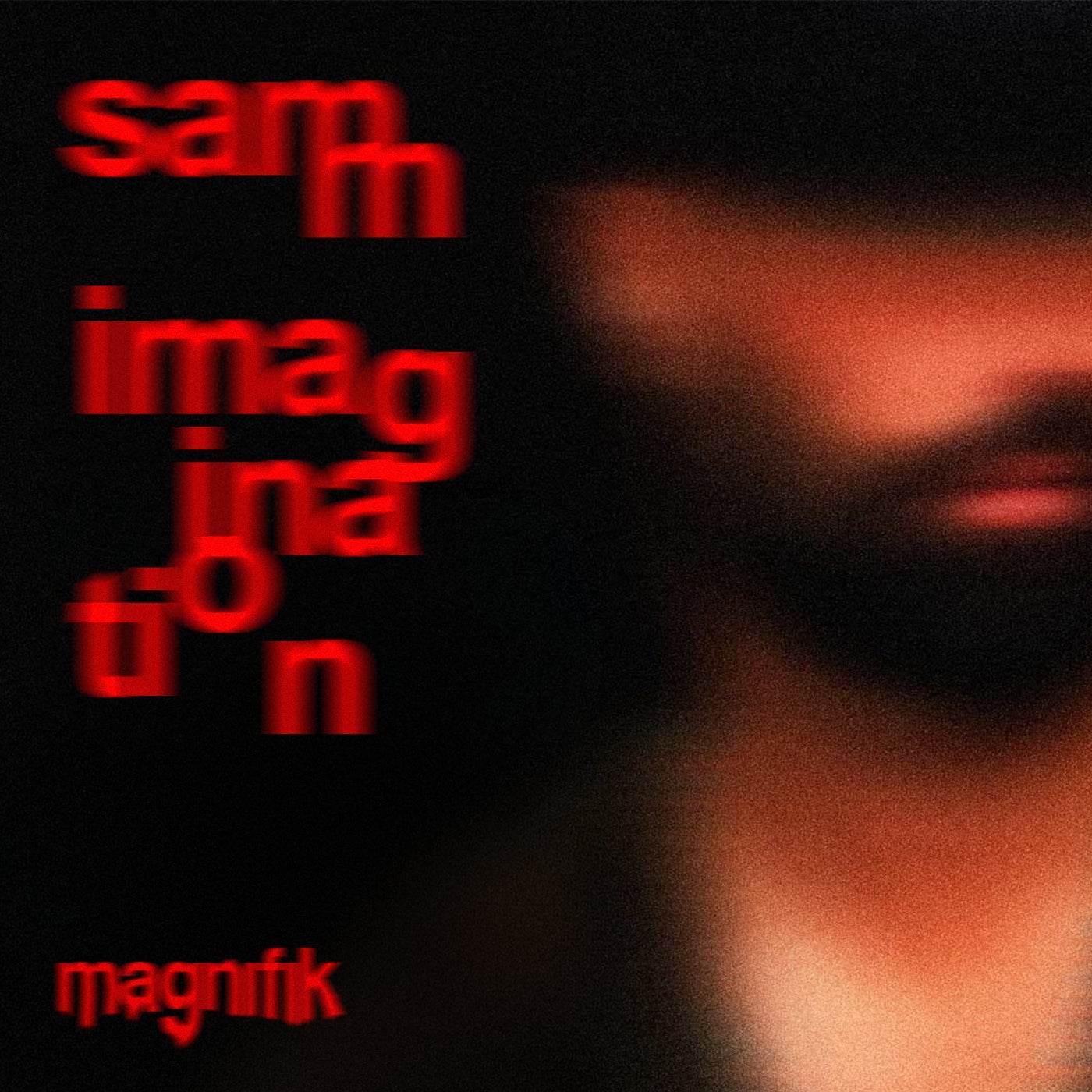 Imagination
