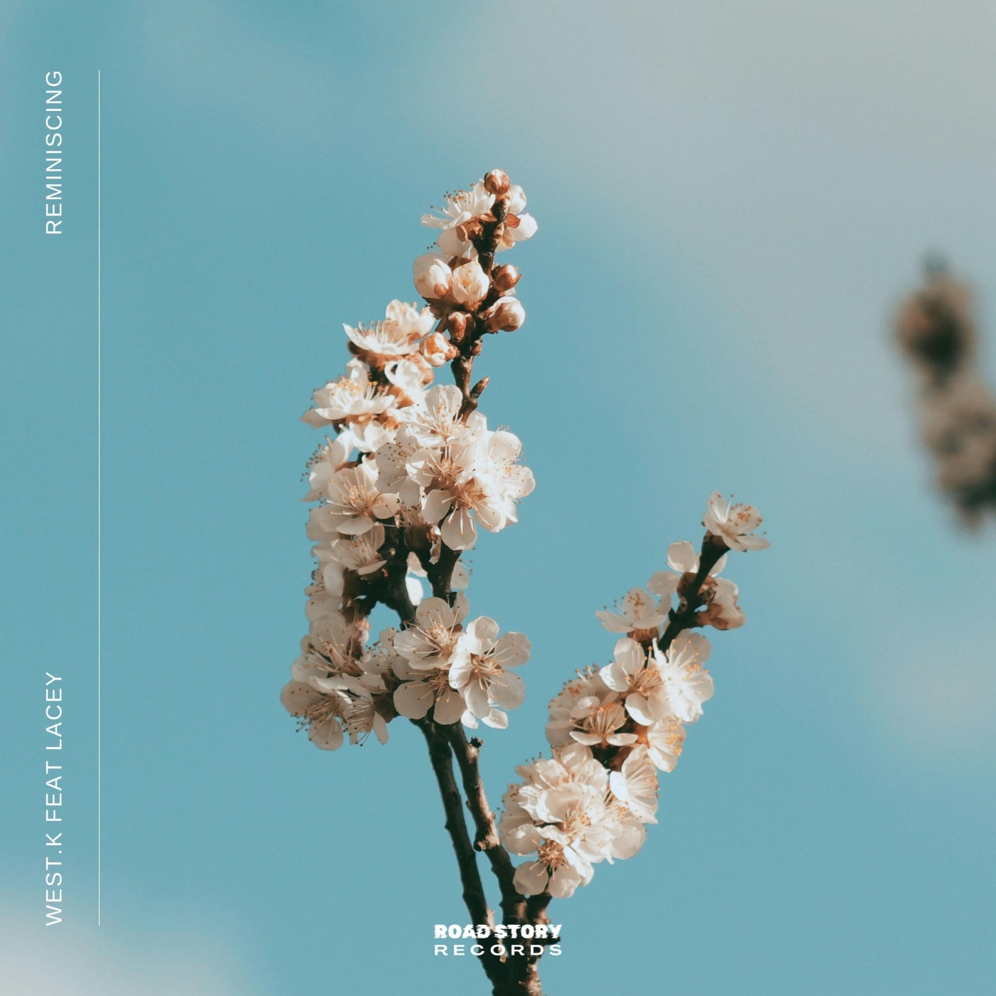 Cover art for Reminiscing