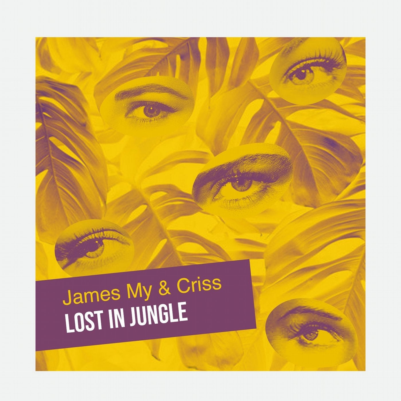 Lost in Jungle