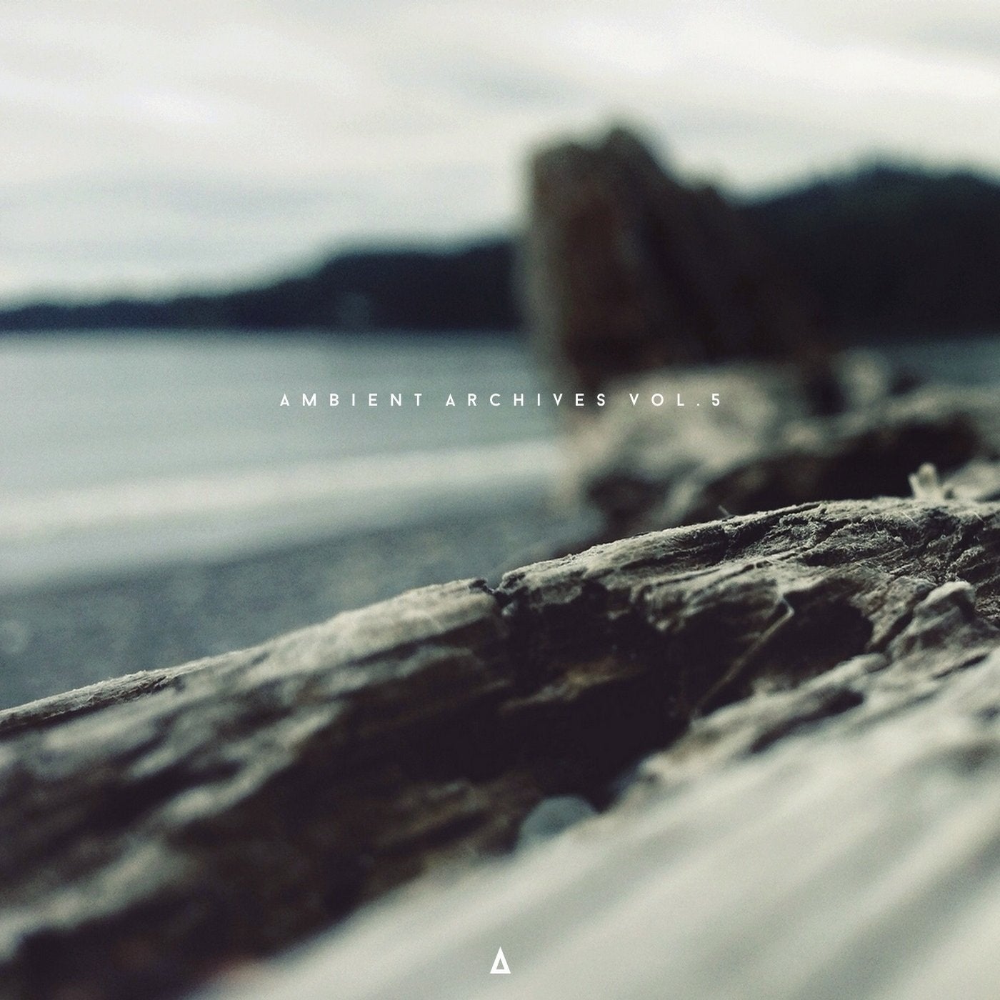 Ambient Archives, Vol. 5