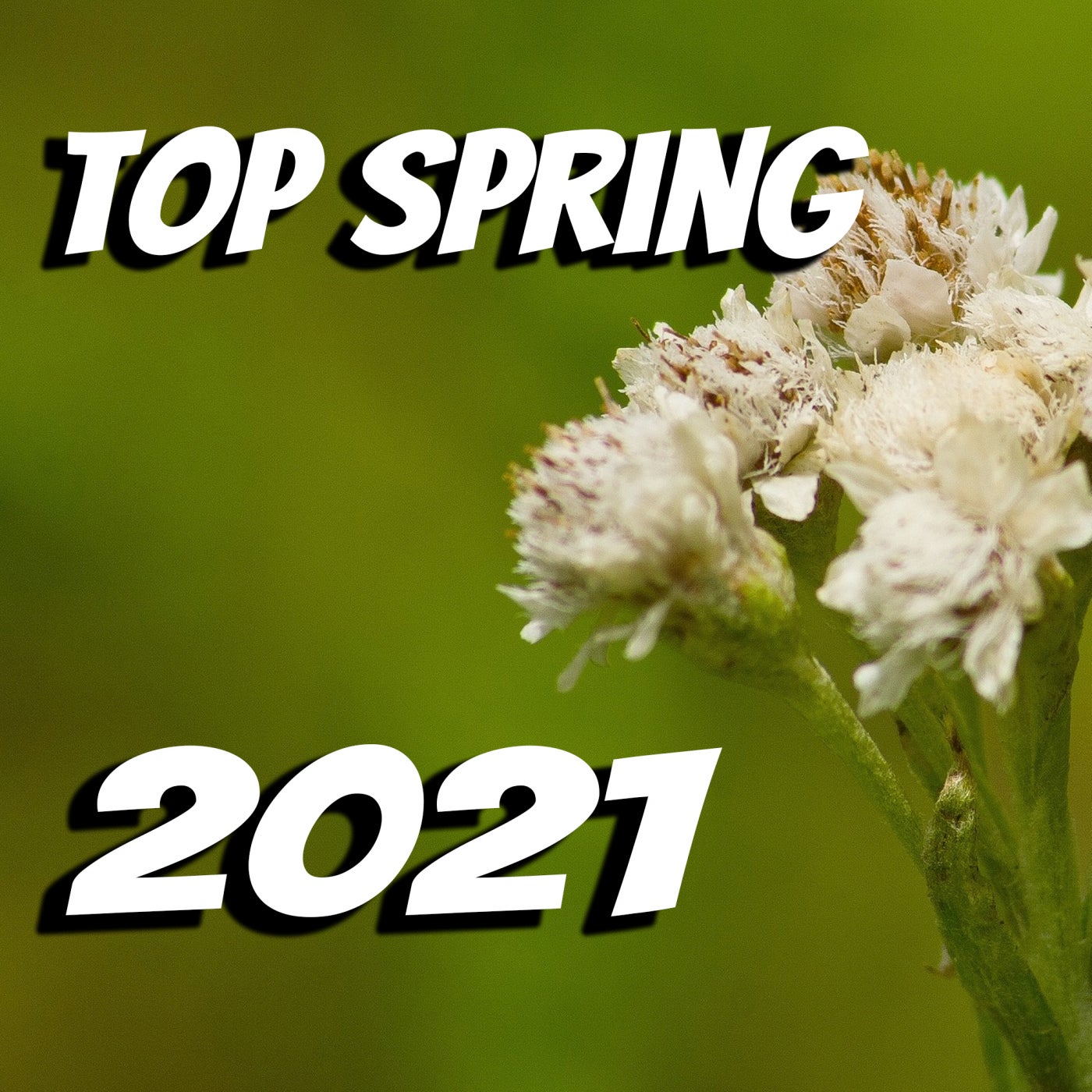 Top Spring 2021