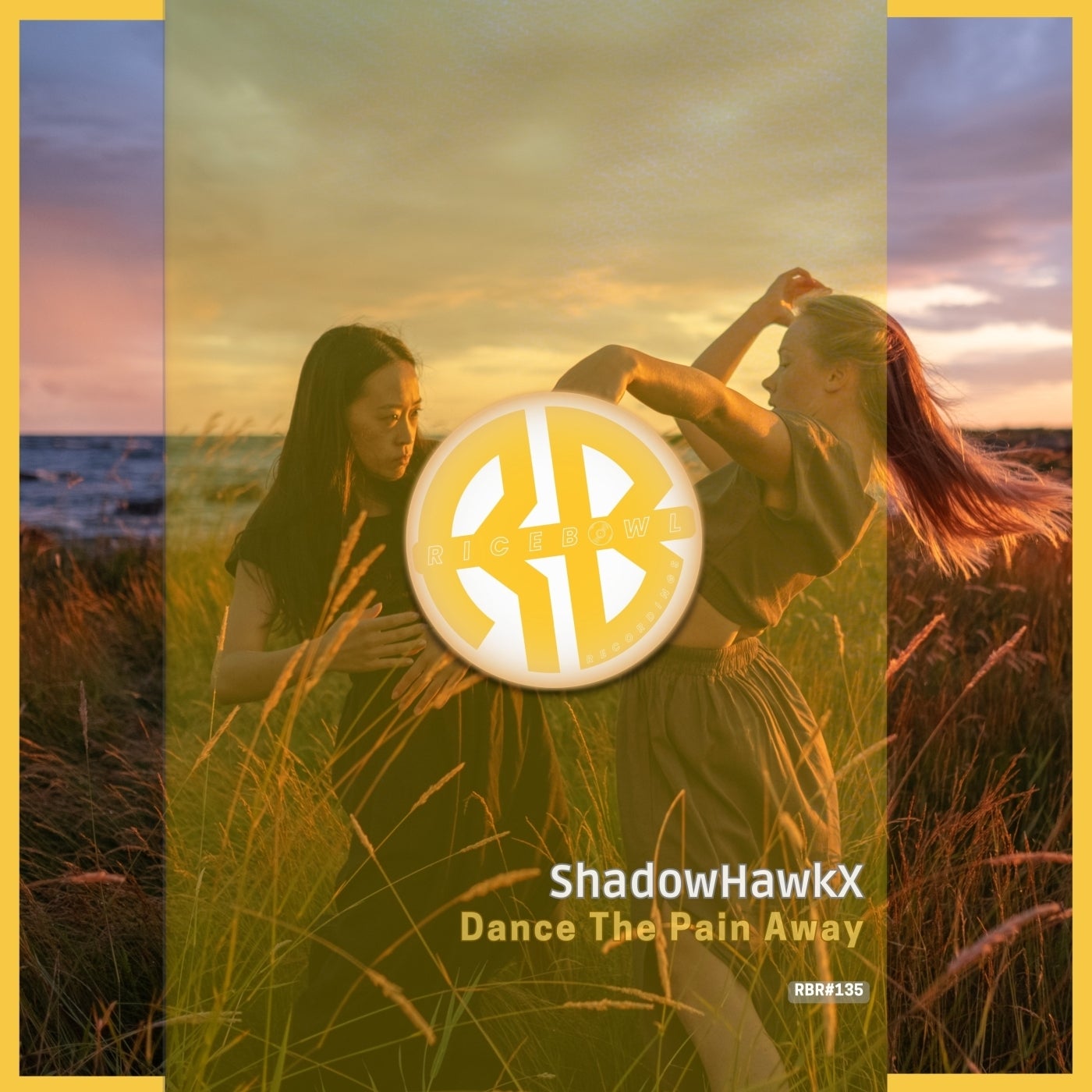 Shadowhawkx Dance The Pain Away Rice Bowl Recordings Music