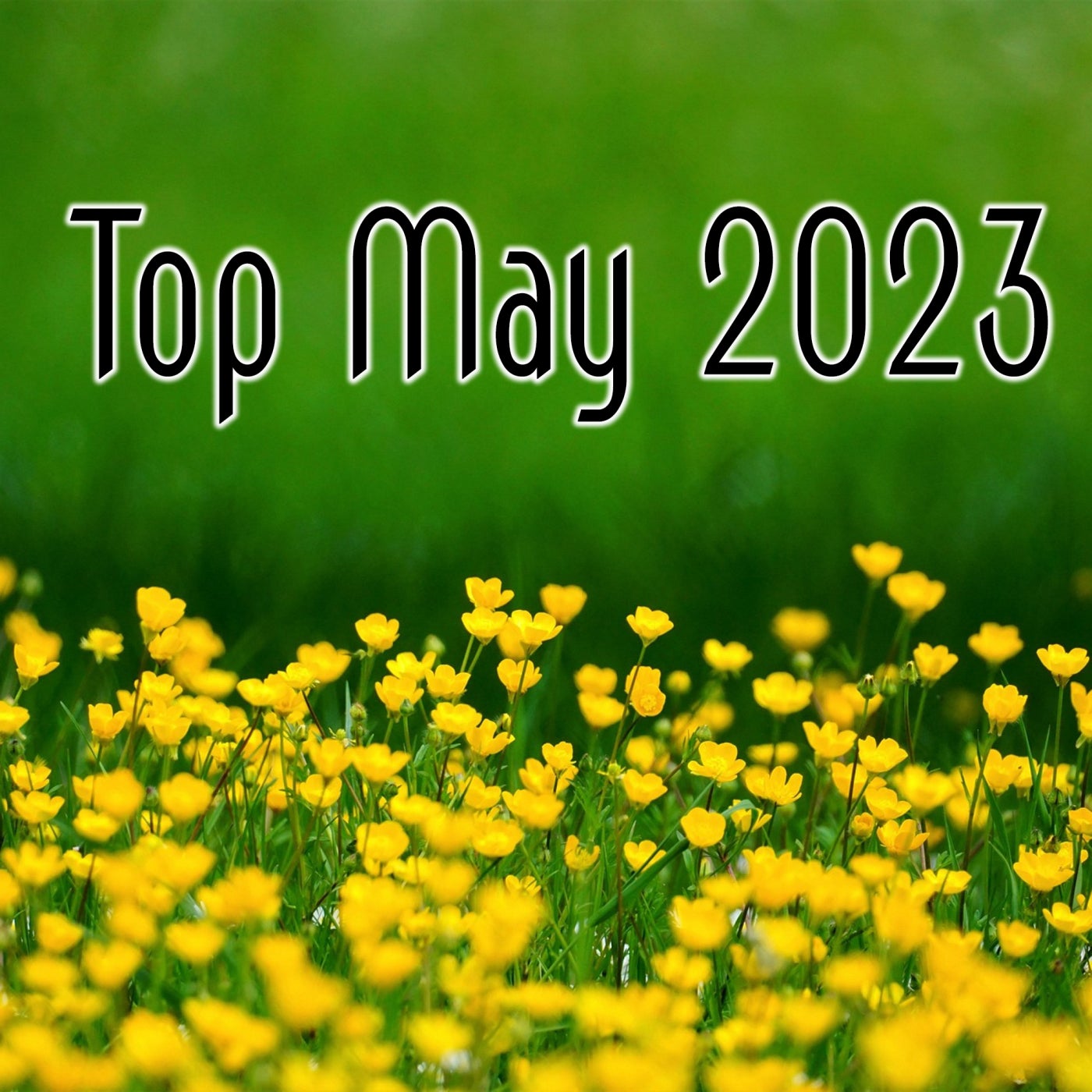 Top May 2023