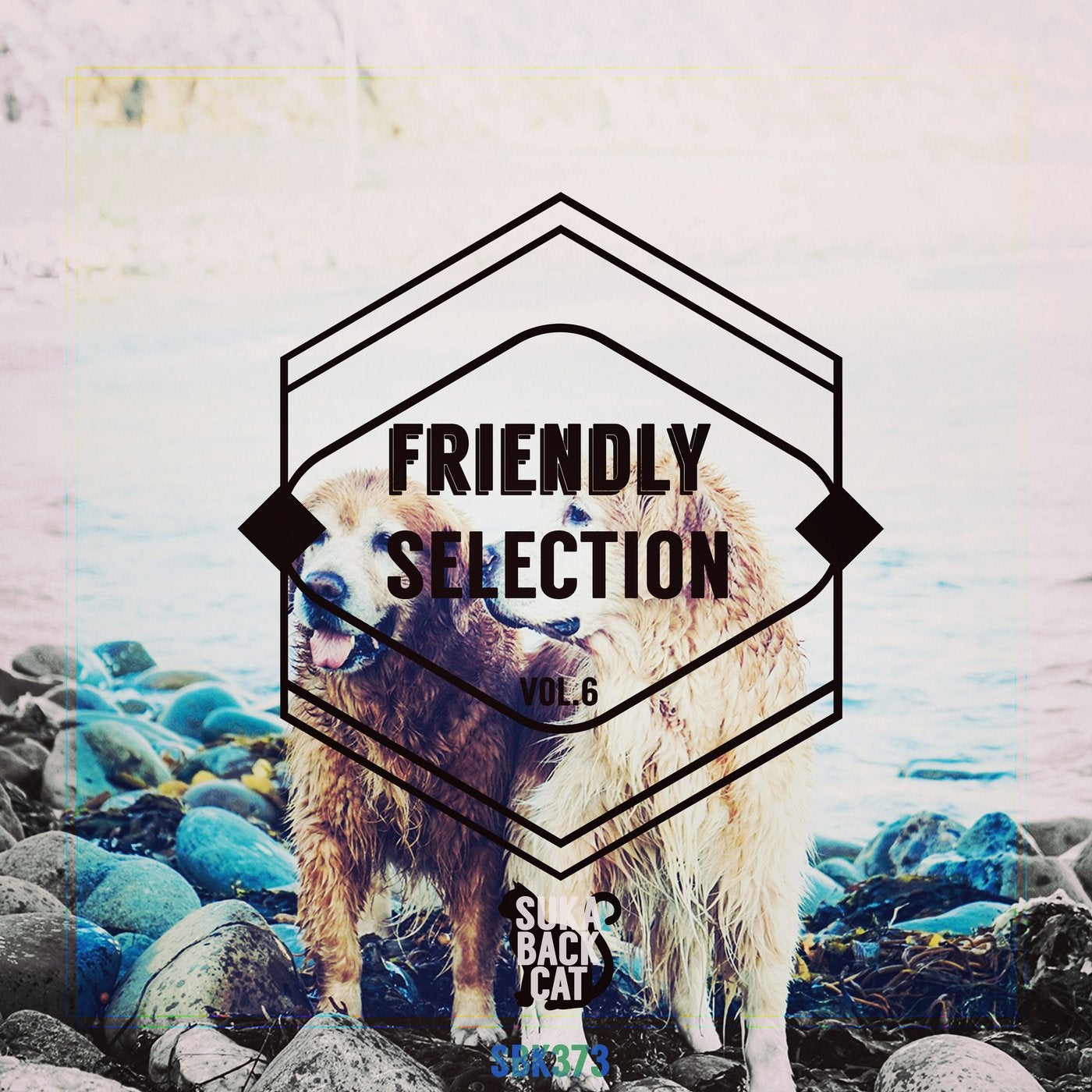 Friendly Selection, Vol. 6