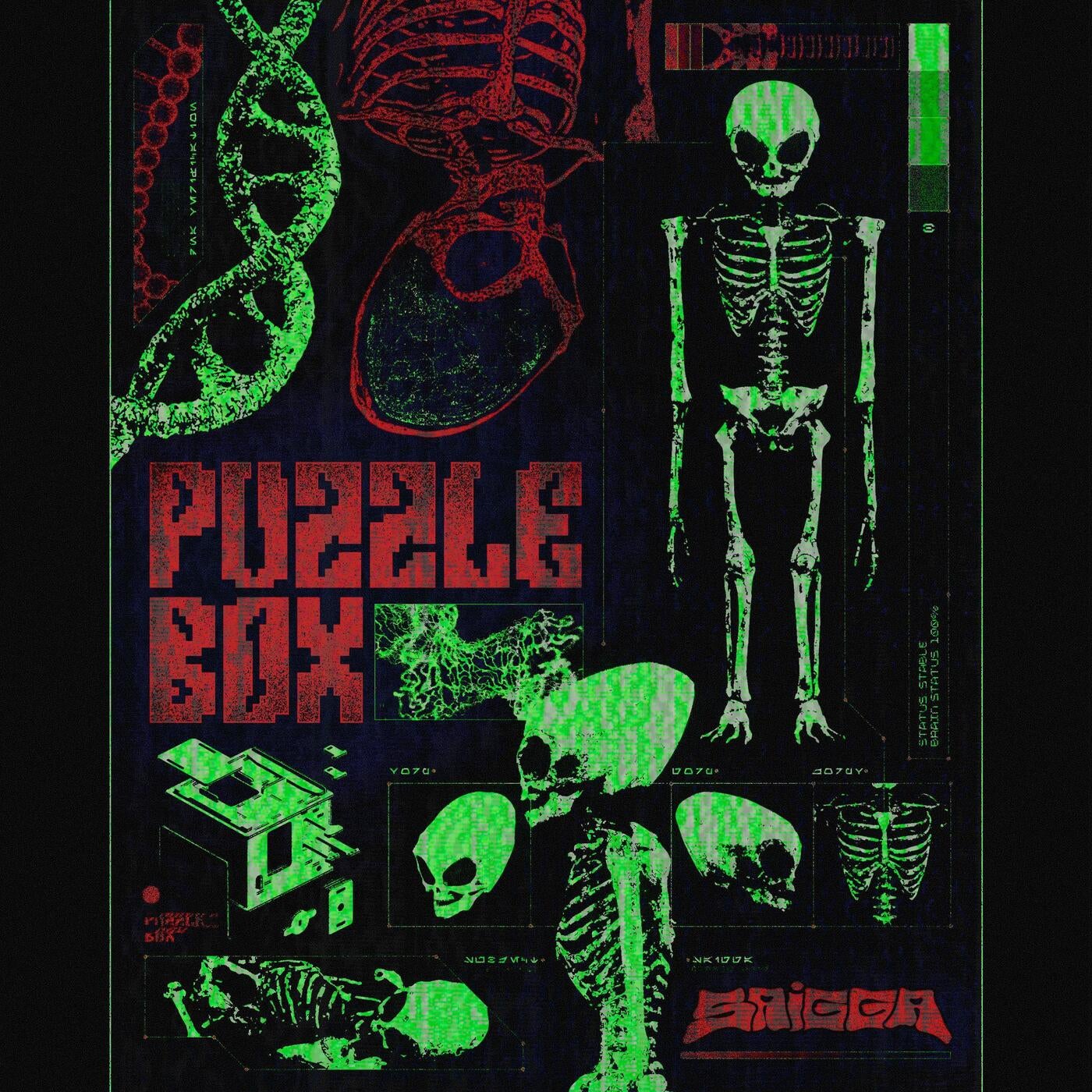 Puzzle Box