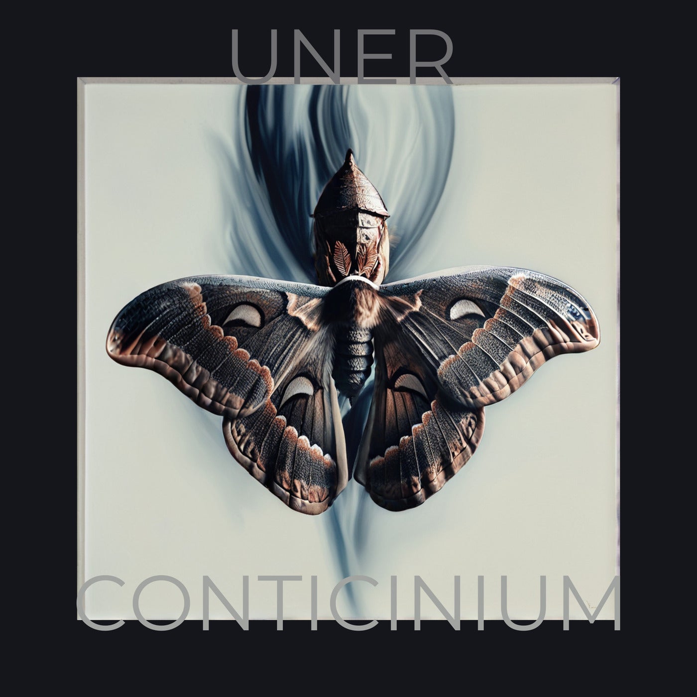 CONTICINIUM